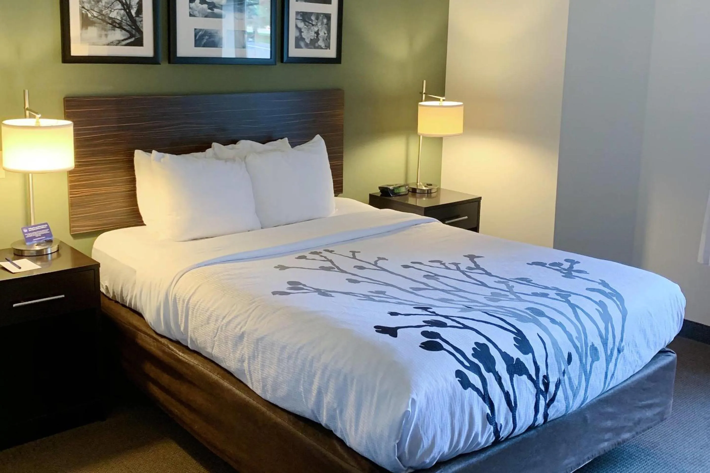 Bedroom, Bed in Sleep Inn & Suites Queensbury - Lake George