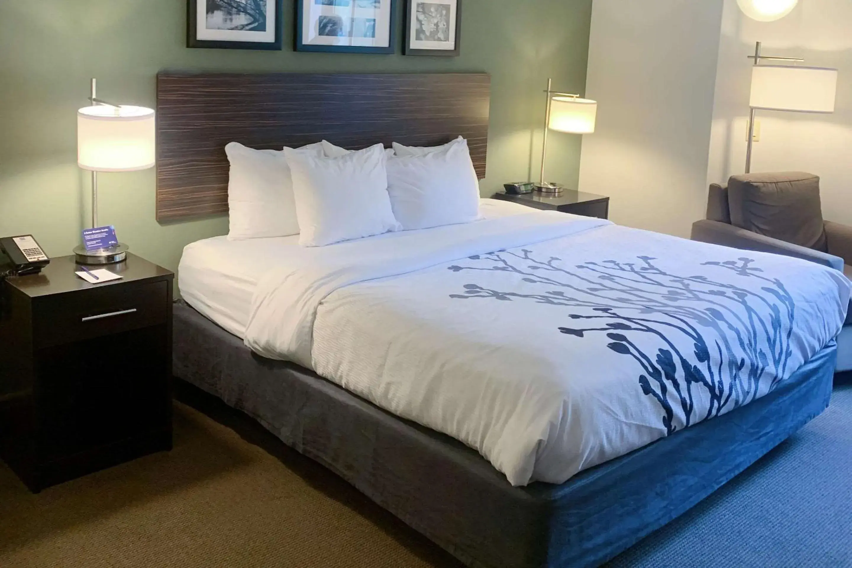 Bedroom, Bed in Sleep Inn & Suites Queensbury - Lake George Bedroom, Bed in Sleep Inn & Suites Queensbury - Lake George