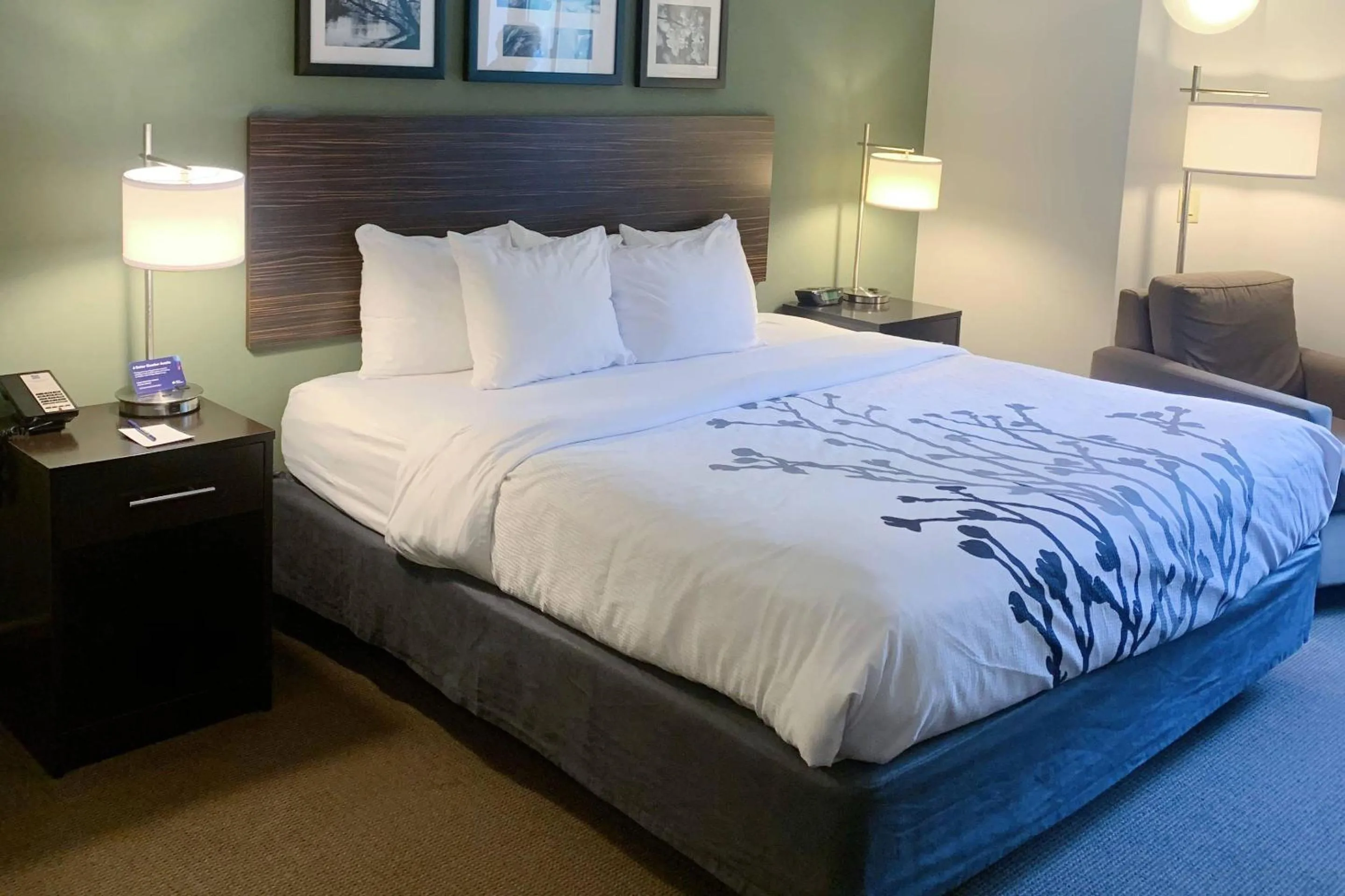 Bedroom, Bed in Sleep Inn & Suites Queensbury - Lake George