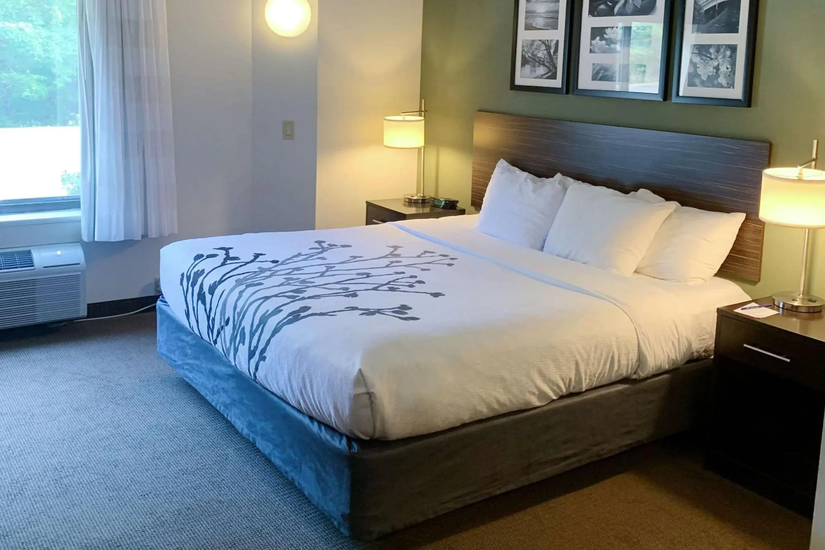 Bedroom, Bed in Sleep Inn & Suites Queensbury - Lake George Bedroom, Bed in Sleep Inn & Suites Queensbury - Lake George