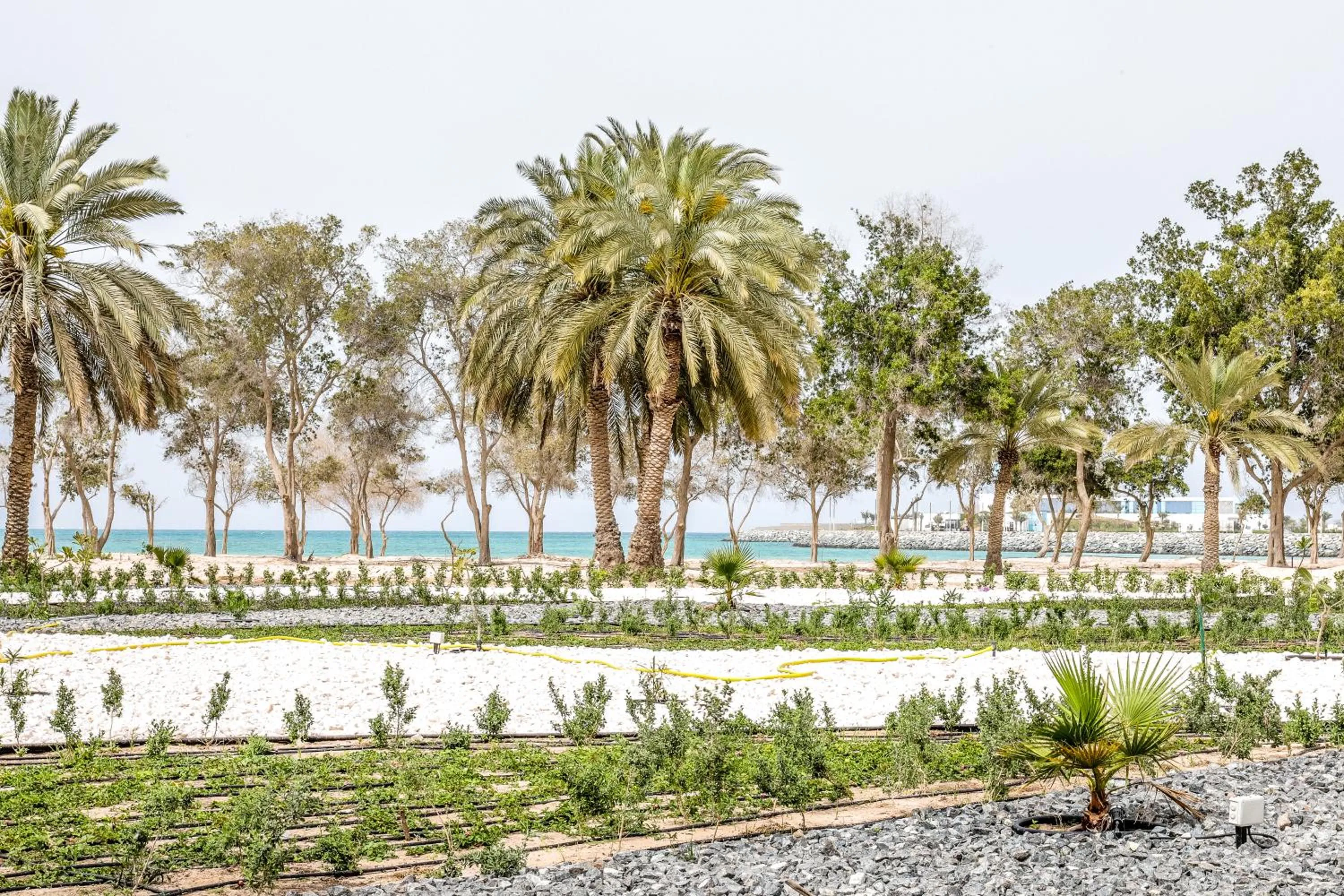 Property building in Dhafra Beach Hotel