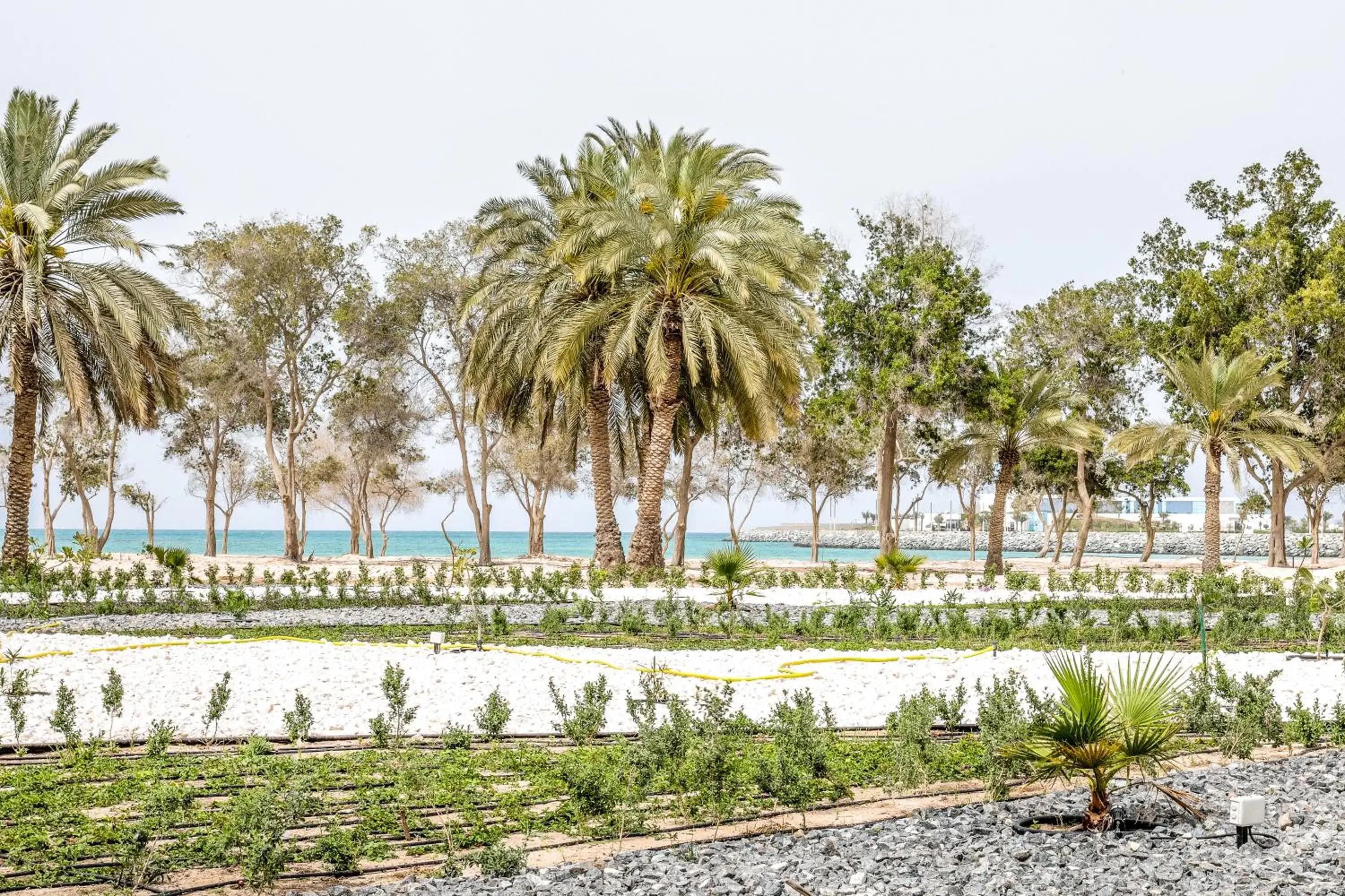 Property building in Dhafra Beach Hotel Property building in Dhafra Beach Hotel