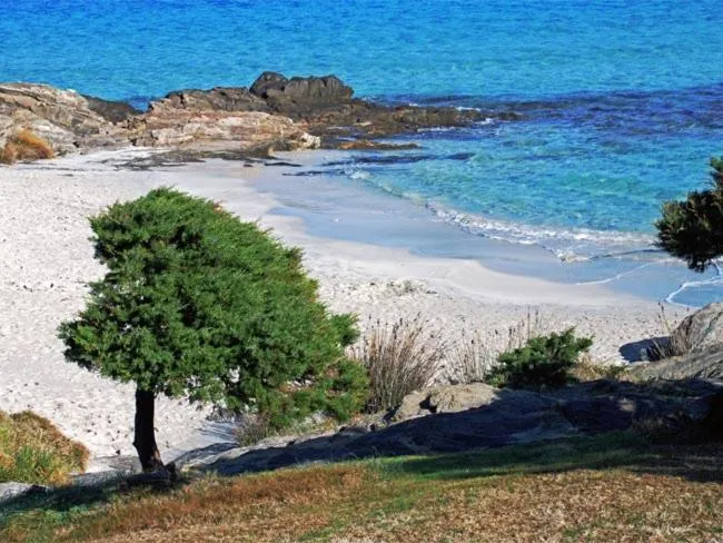 Natural landscape in Stintino Country Paradise - Resort & Villas