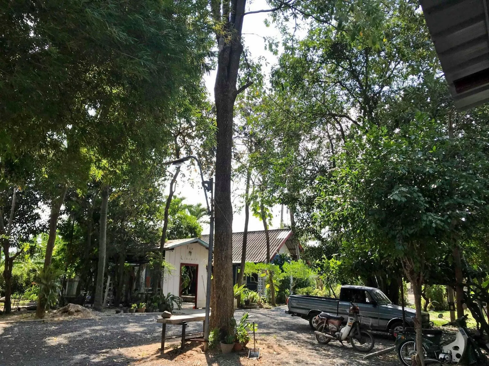 The Monkey Resort Donheang