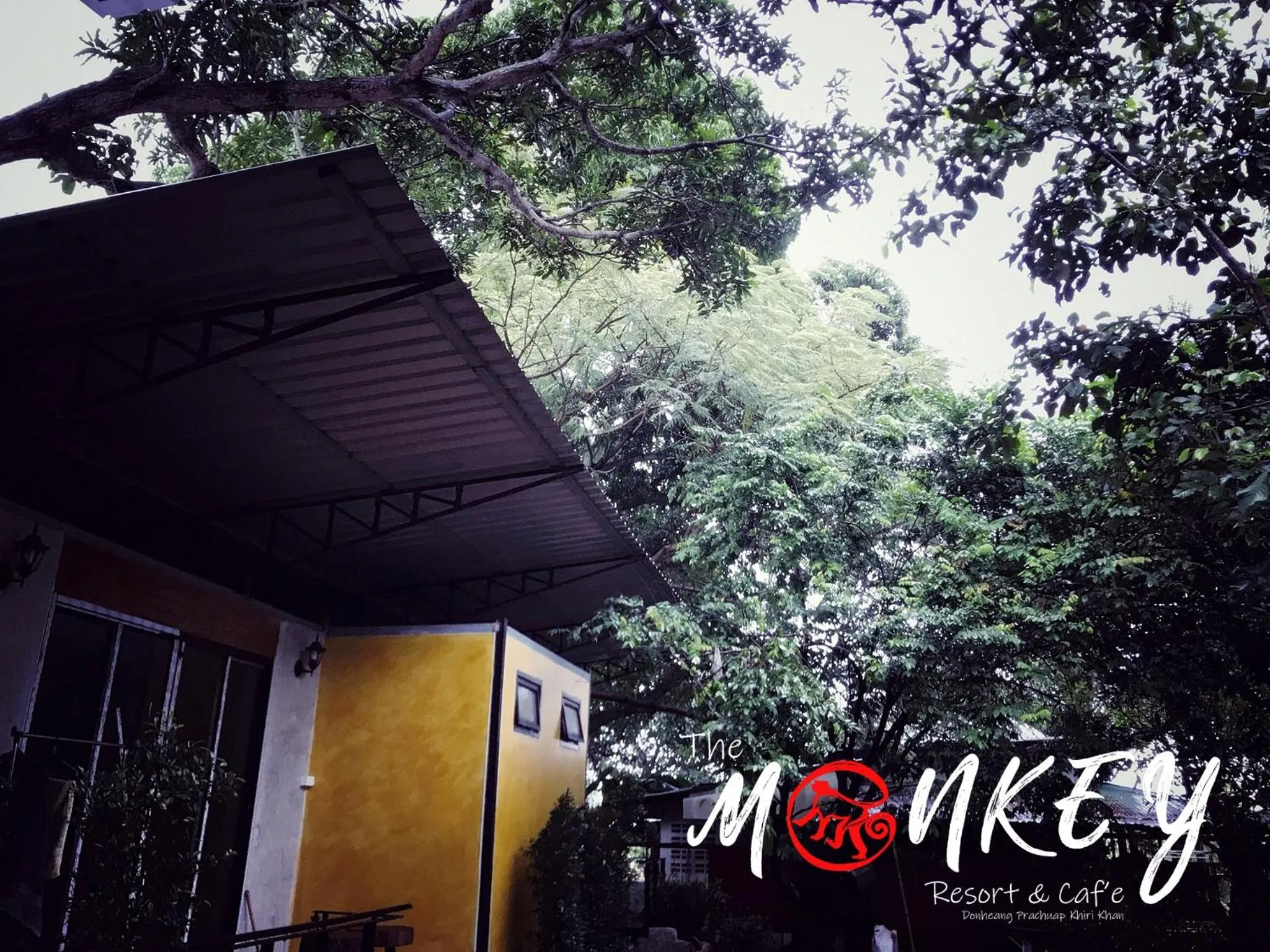 The Monkey Resort Donheang