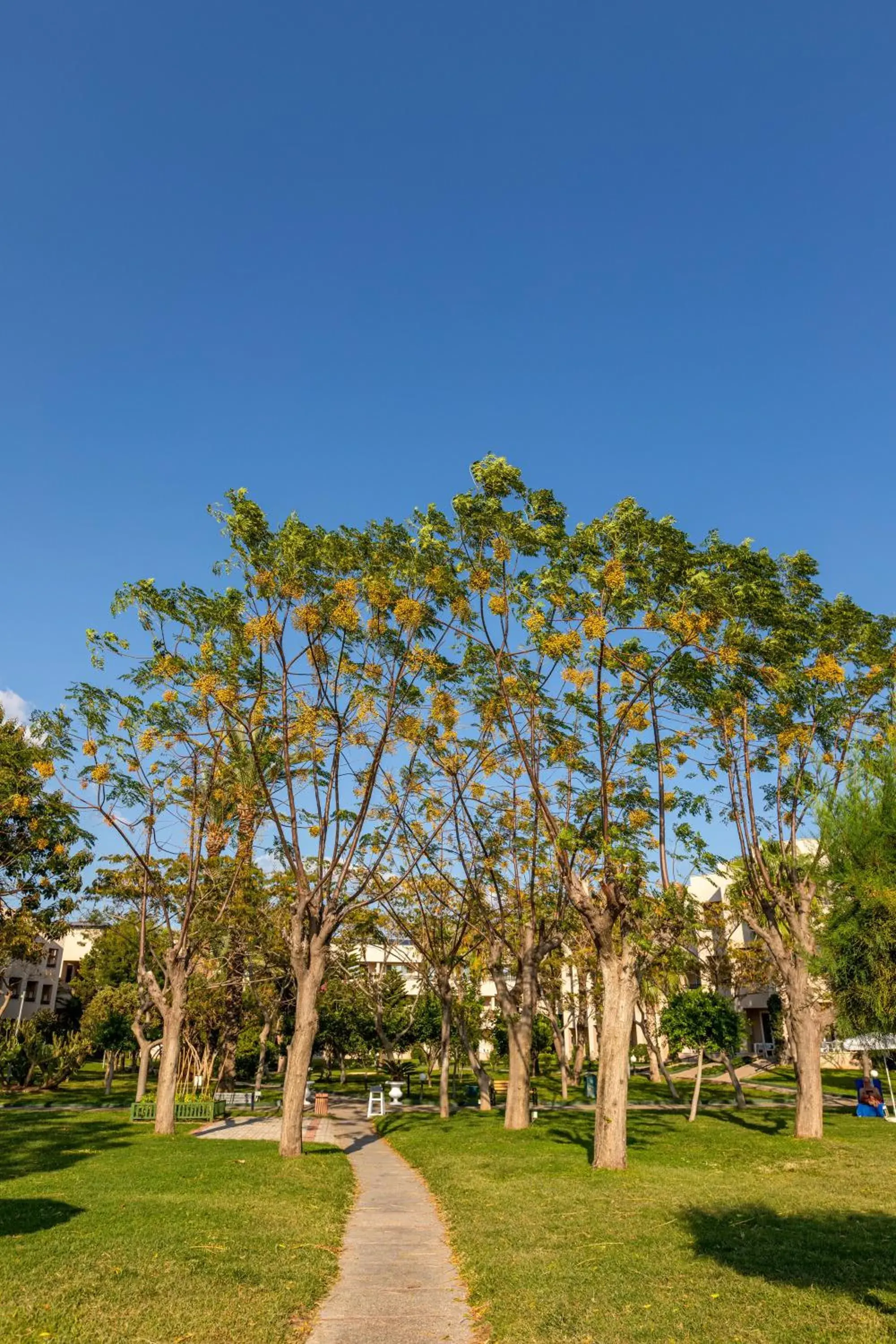 Natural landscape, Garden in Labranda Alantur