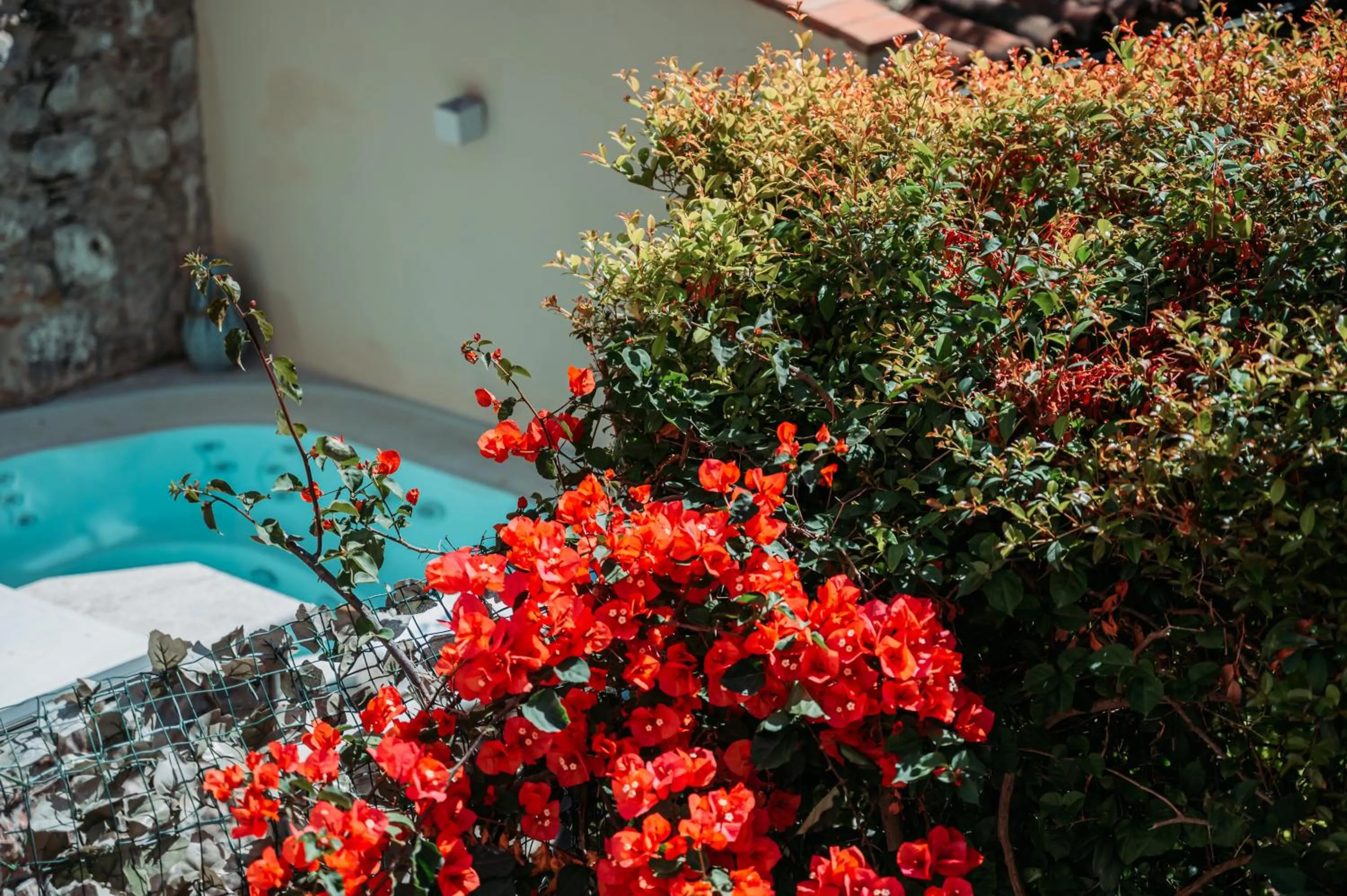 Garden in Private Villa at Villa al Duomo