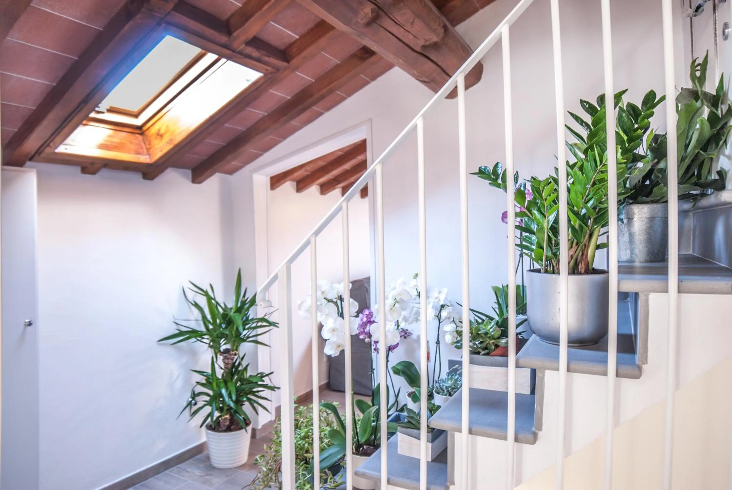 Cascine Home Holidays