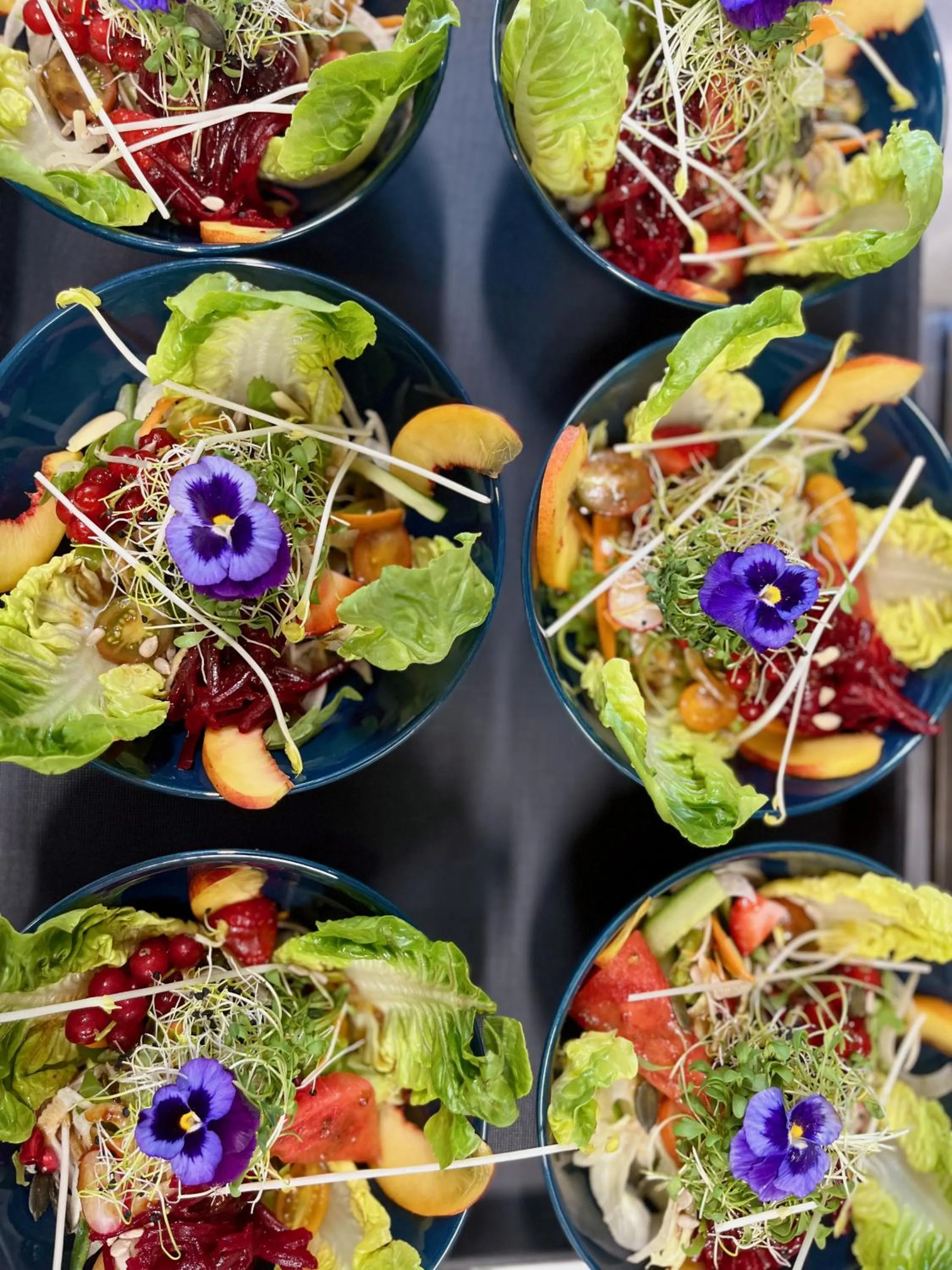 Berggasthaus Eggberge - Boutique Mountain Hotel - Access via Cablecar