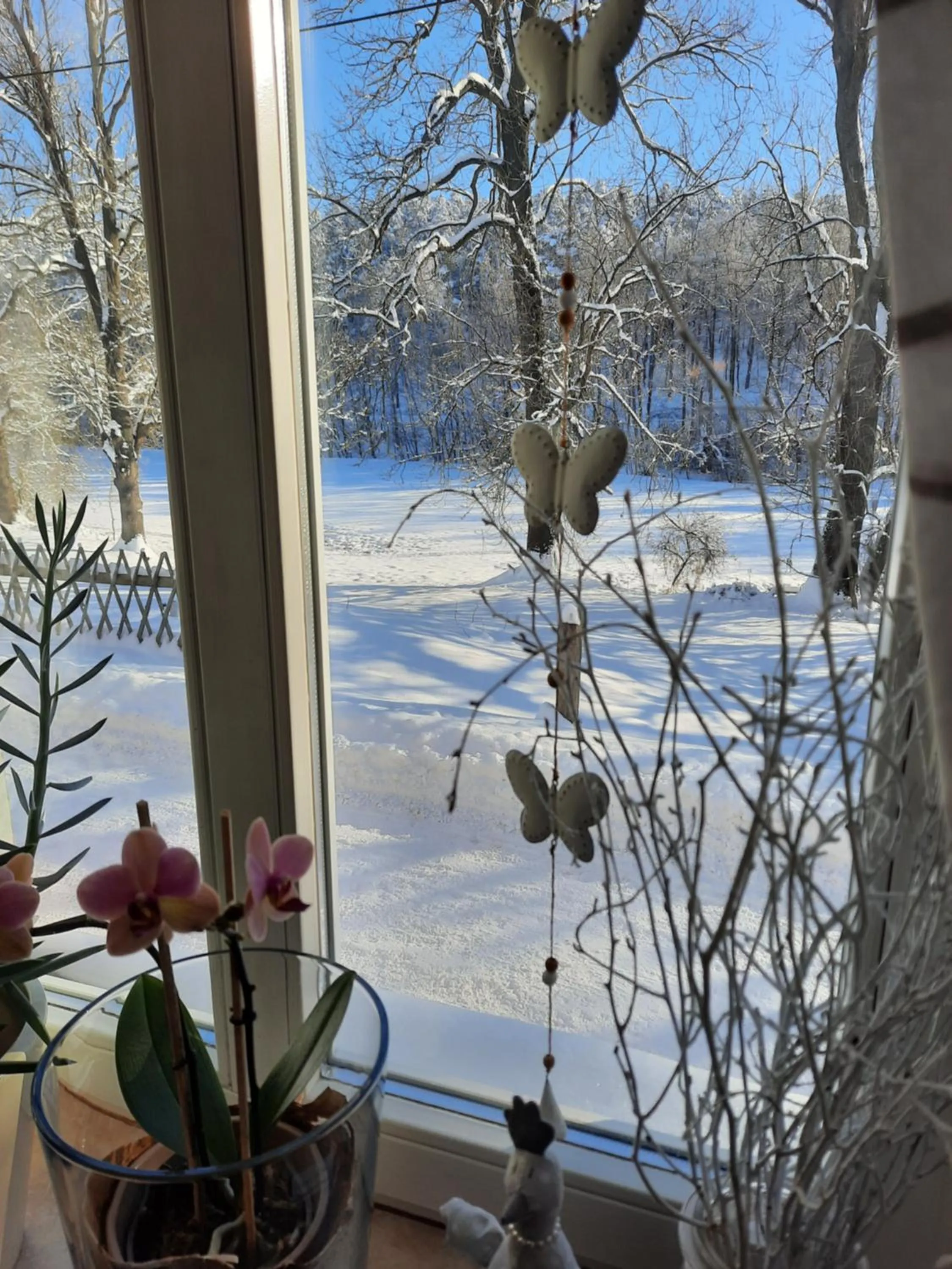 Natural landscape in Pension Kastanienhof