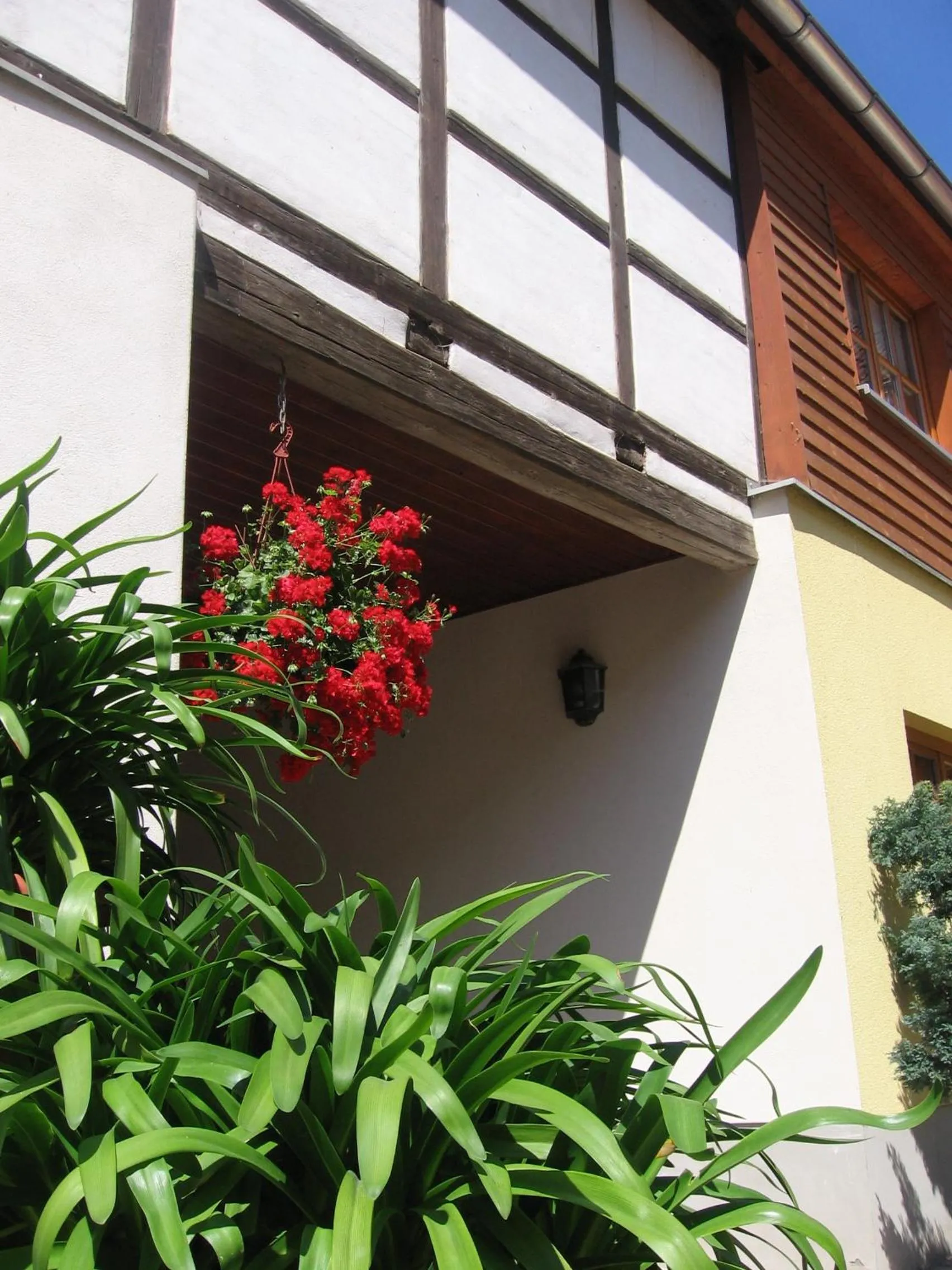 Property building in Pension Kastanienhof
