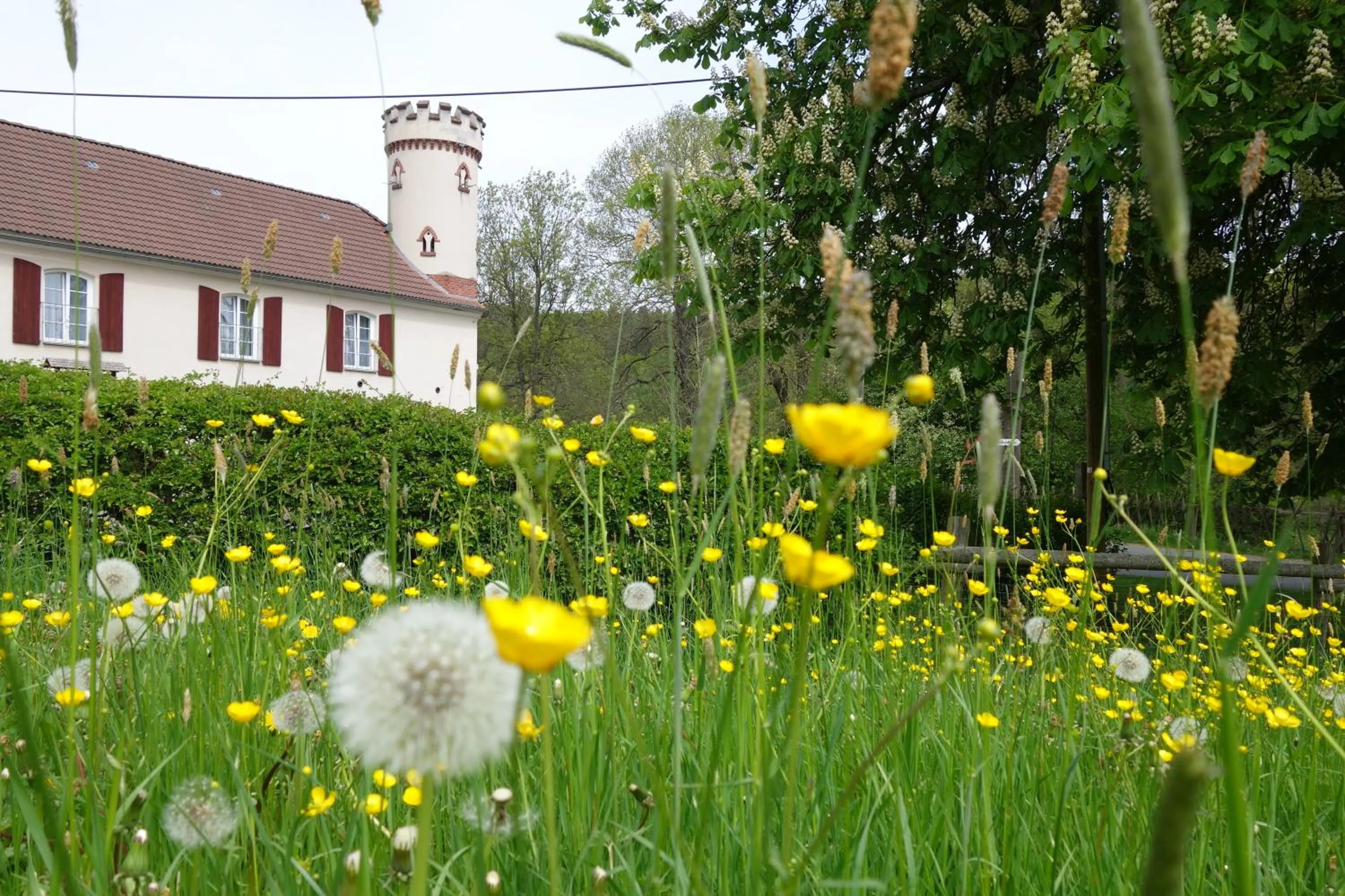 Property building in Pension Kastanienhof