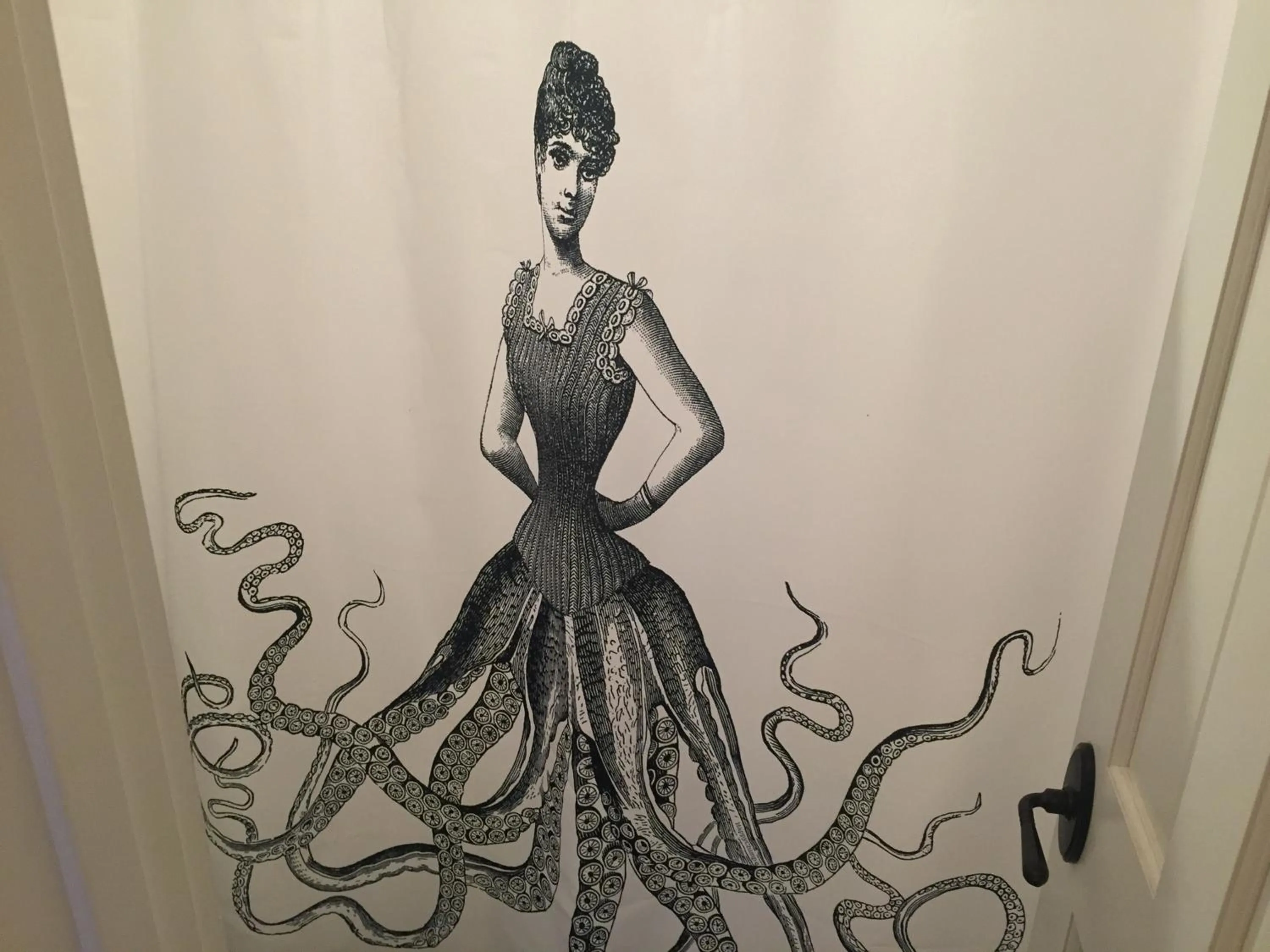 Shower in Painted Lady Bed & Brew