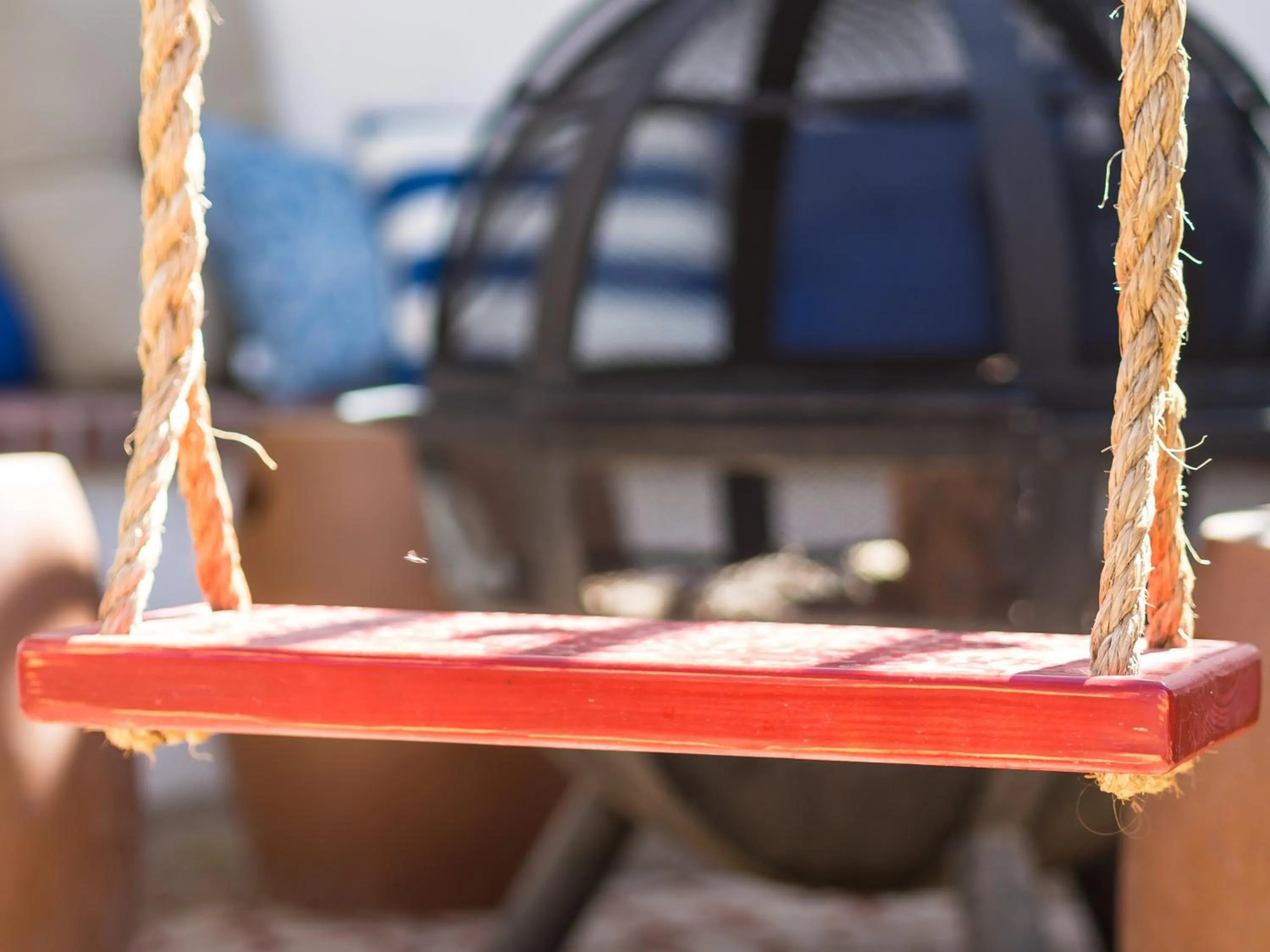 Day in Painted Lady Bed & Brew