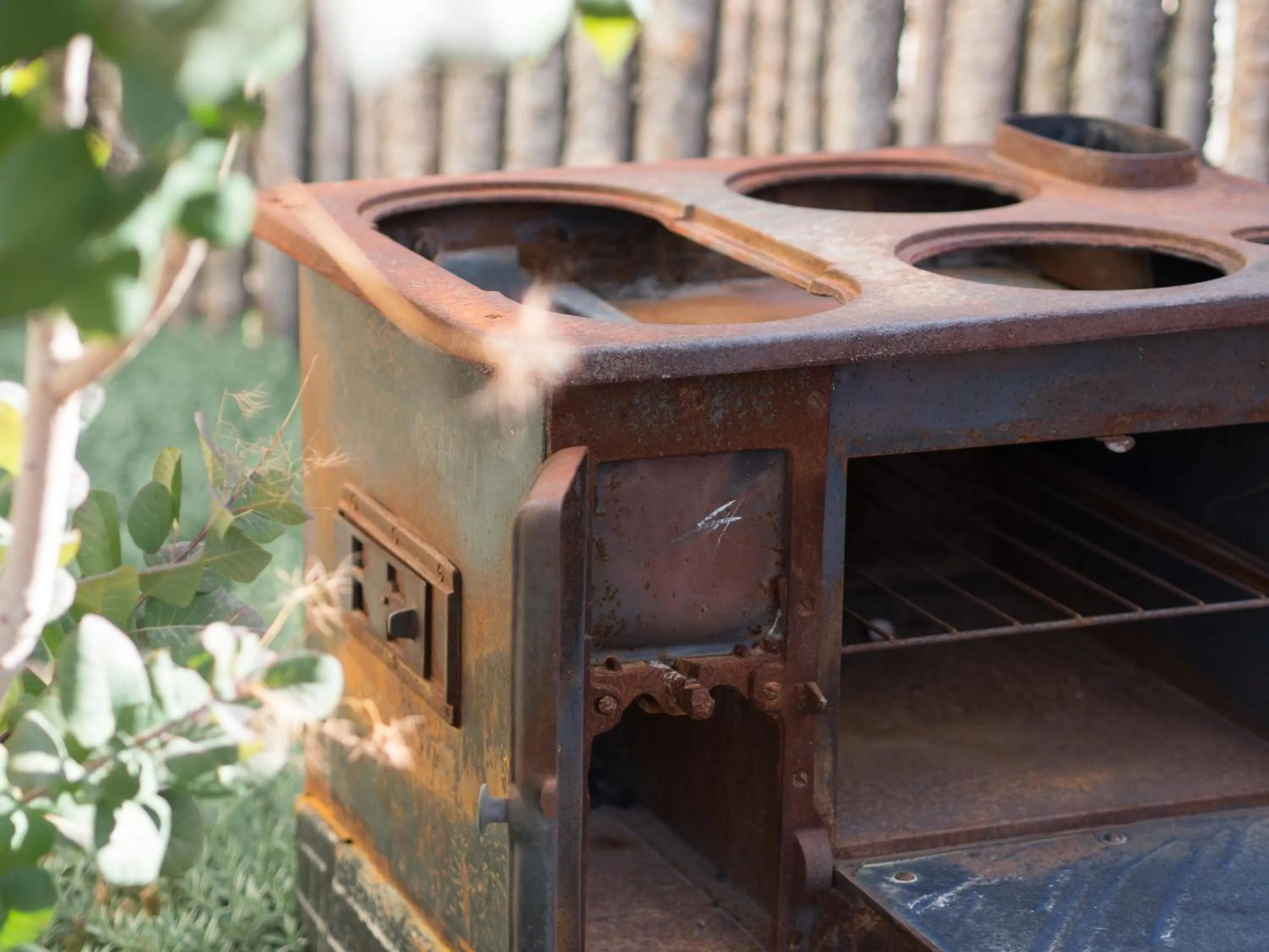 Day in Painted Lady Bed & Brew