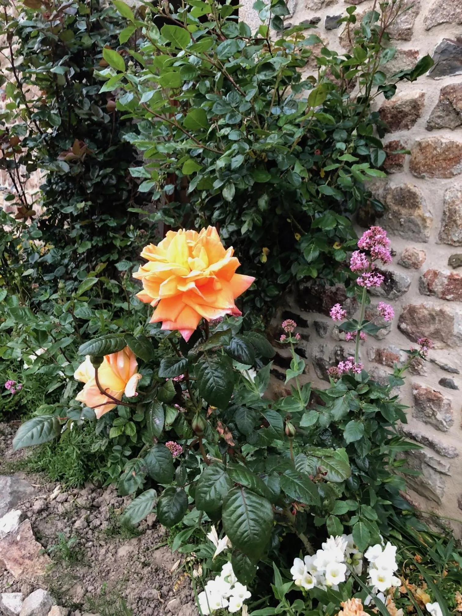Spring in Le Haut Pont de la Baie
