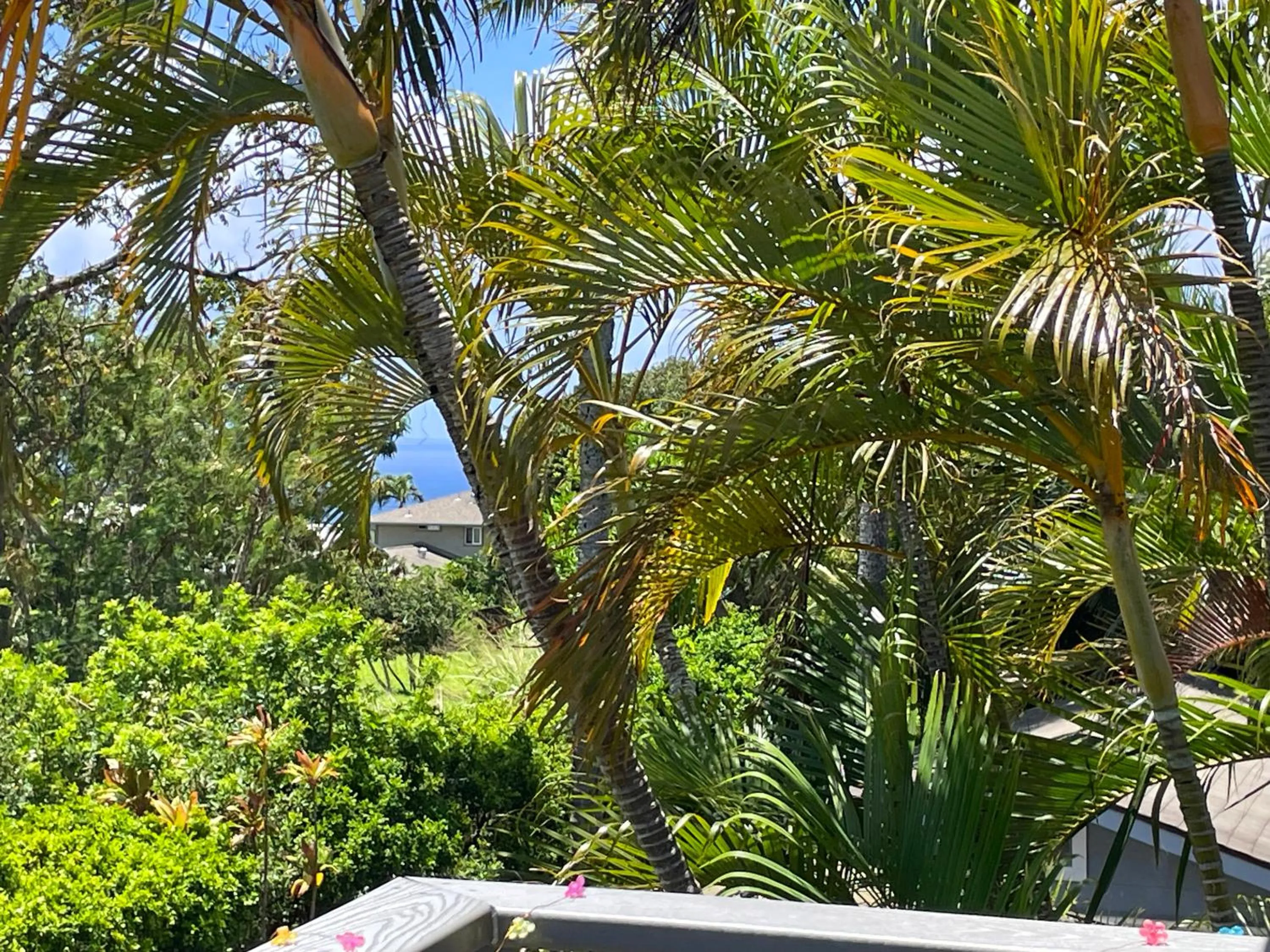 Natural landscape in Puu Koa Palms vacation rental