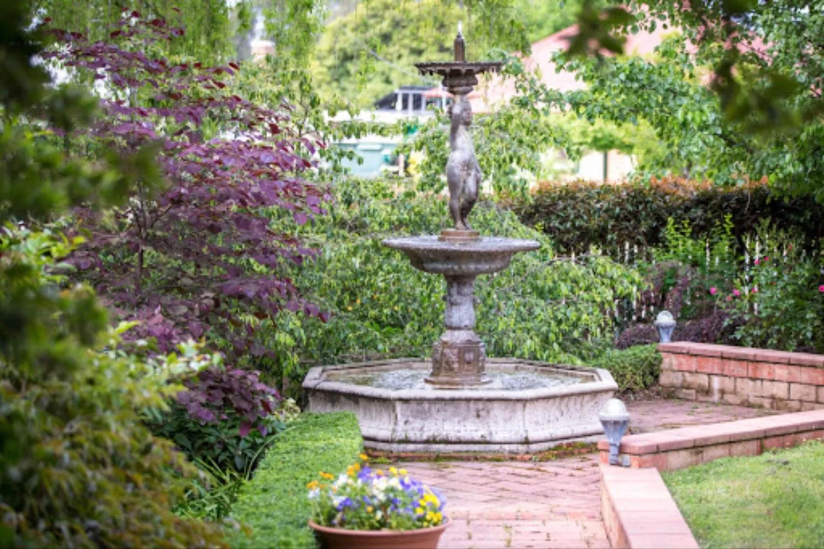 Garden in Twelve on Albert