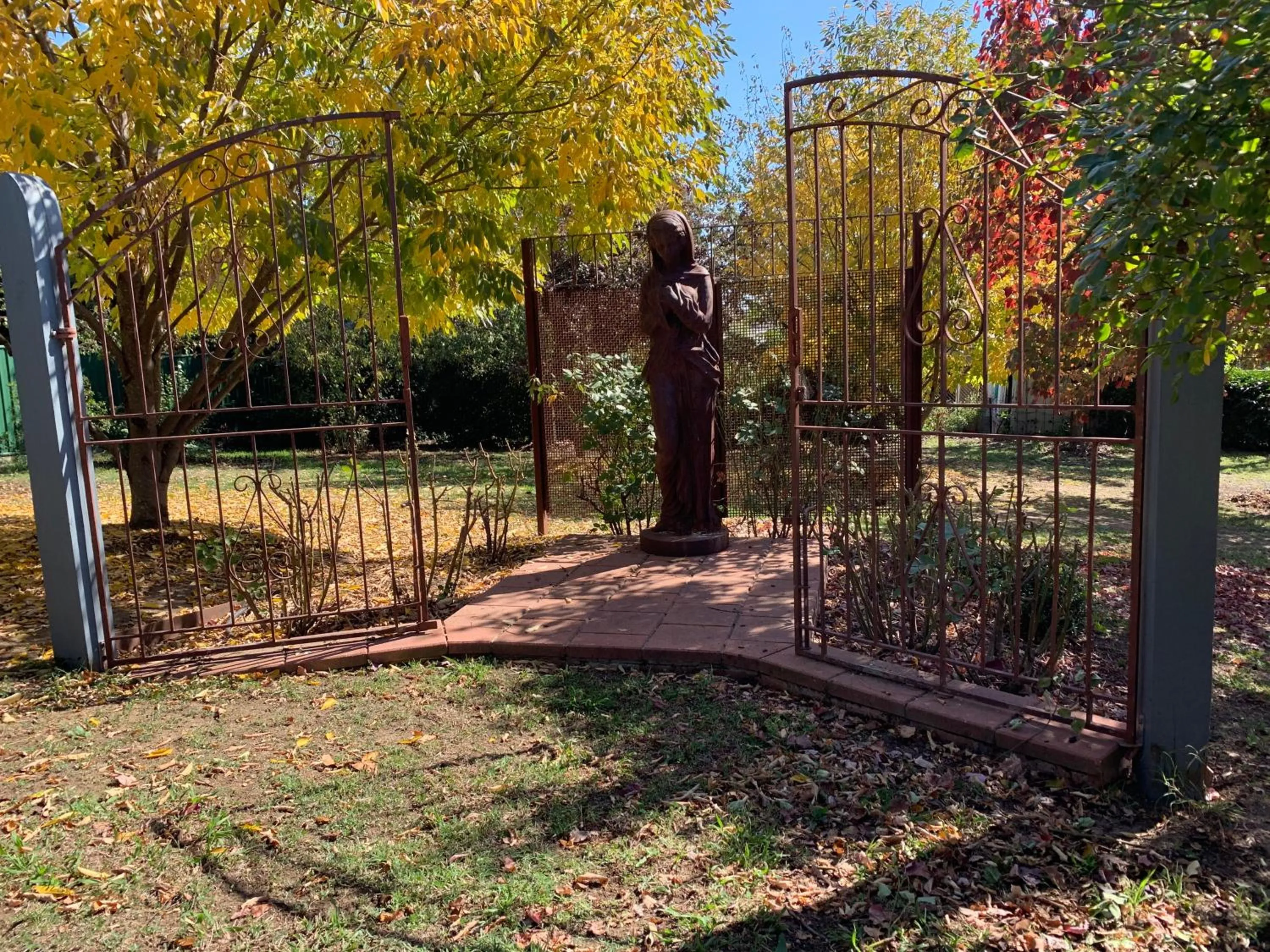 Garden in Twelve on Albert