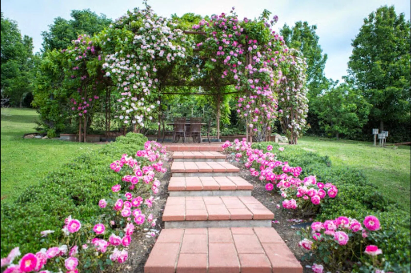 Garden in Twelve on Albert