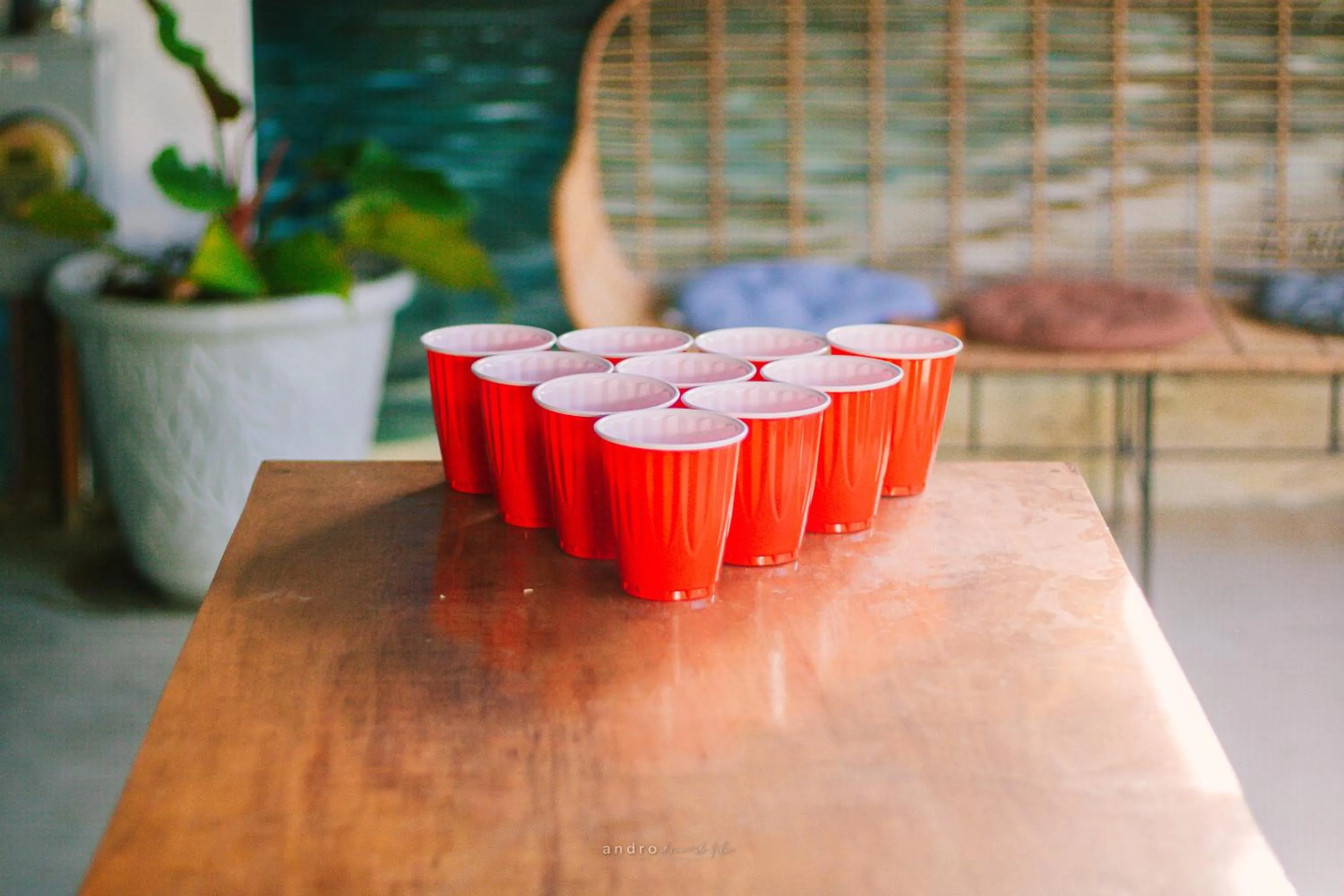 Game Room in Ananas Guesthouse
