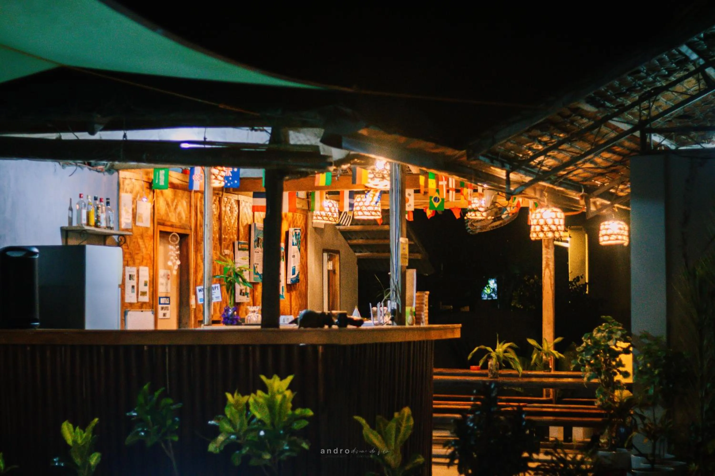 Night in Ananas Guesthouse