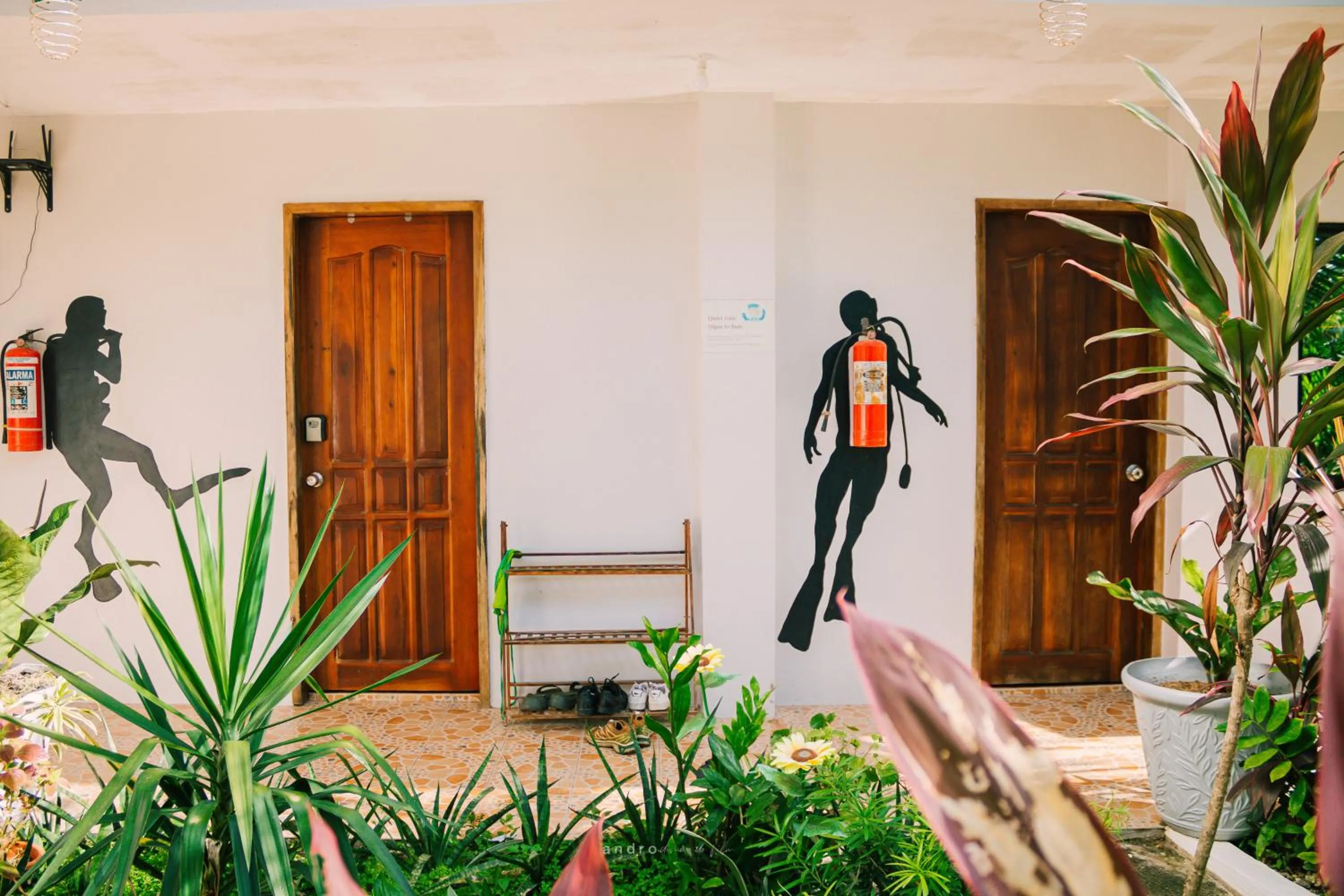 Garden in Ananas Guesthouse