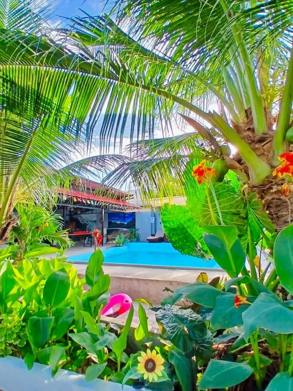 Garden in Ananas Guesthouse