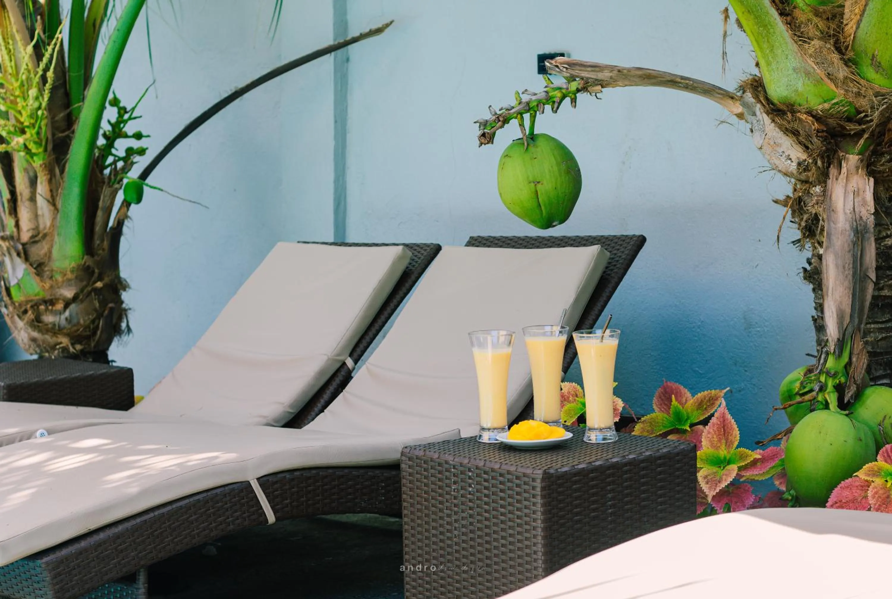 Seating area in Ananas Guesthouse