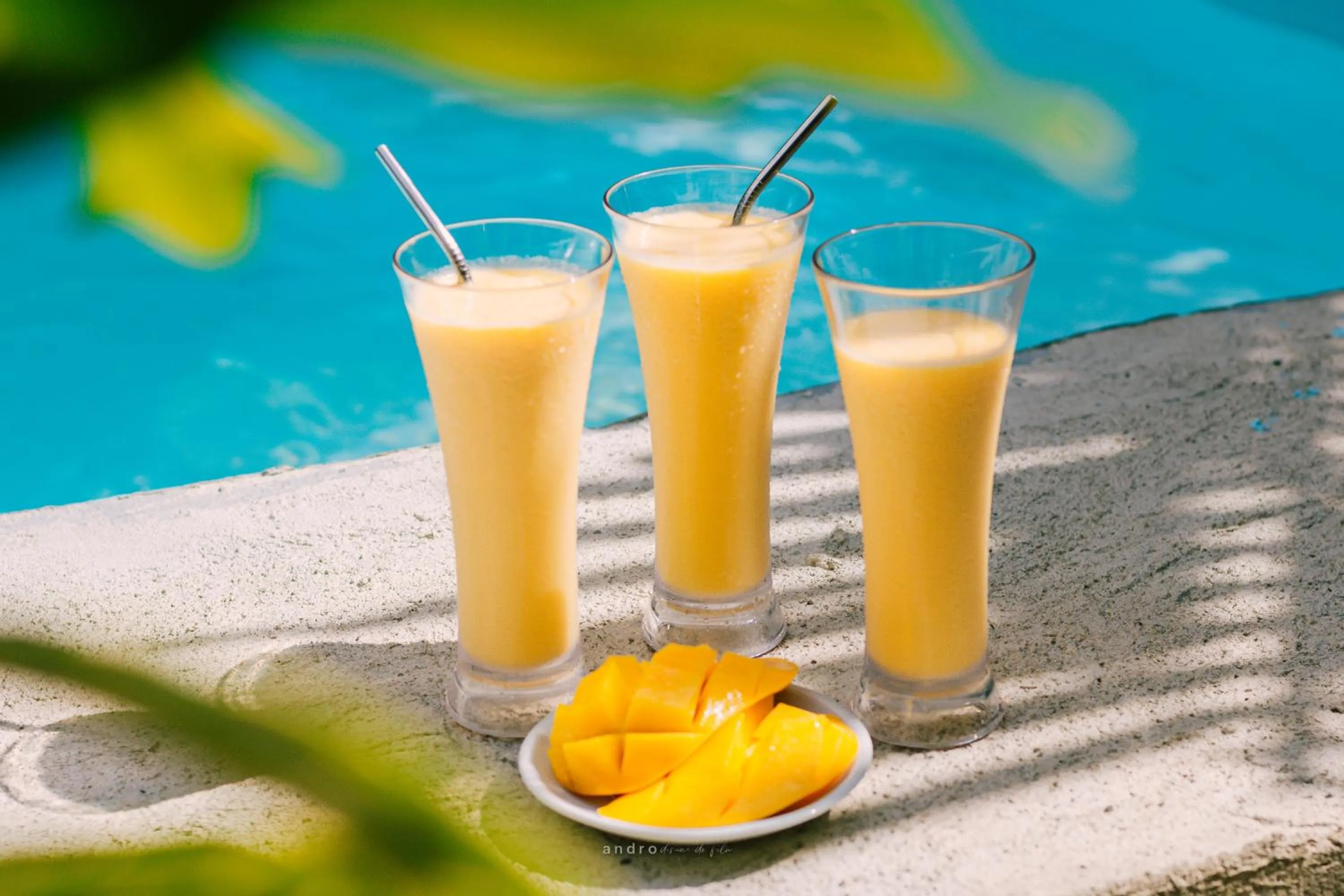 Pool view in Ananas Guesthouse