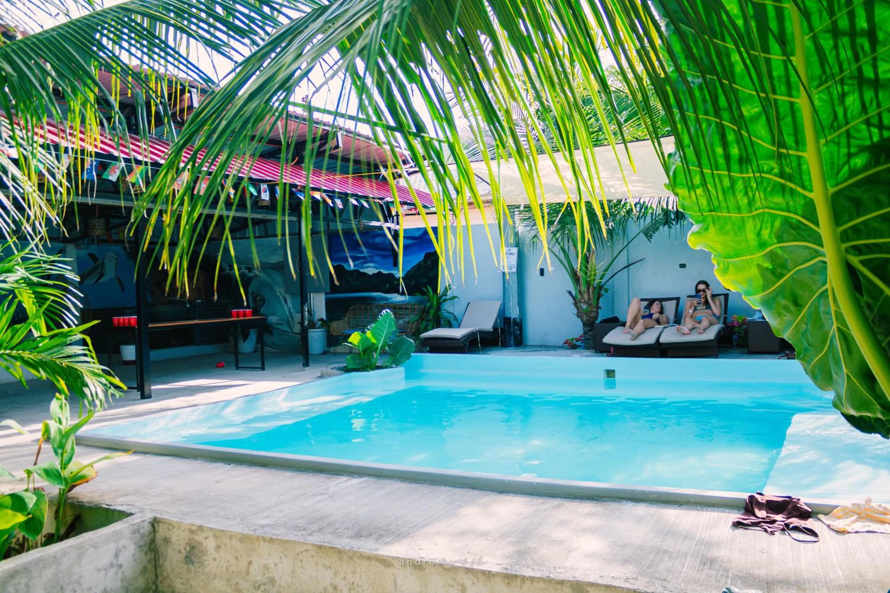 Garden in Ananas Guesthouse