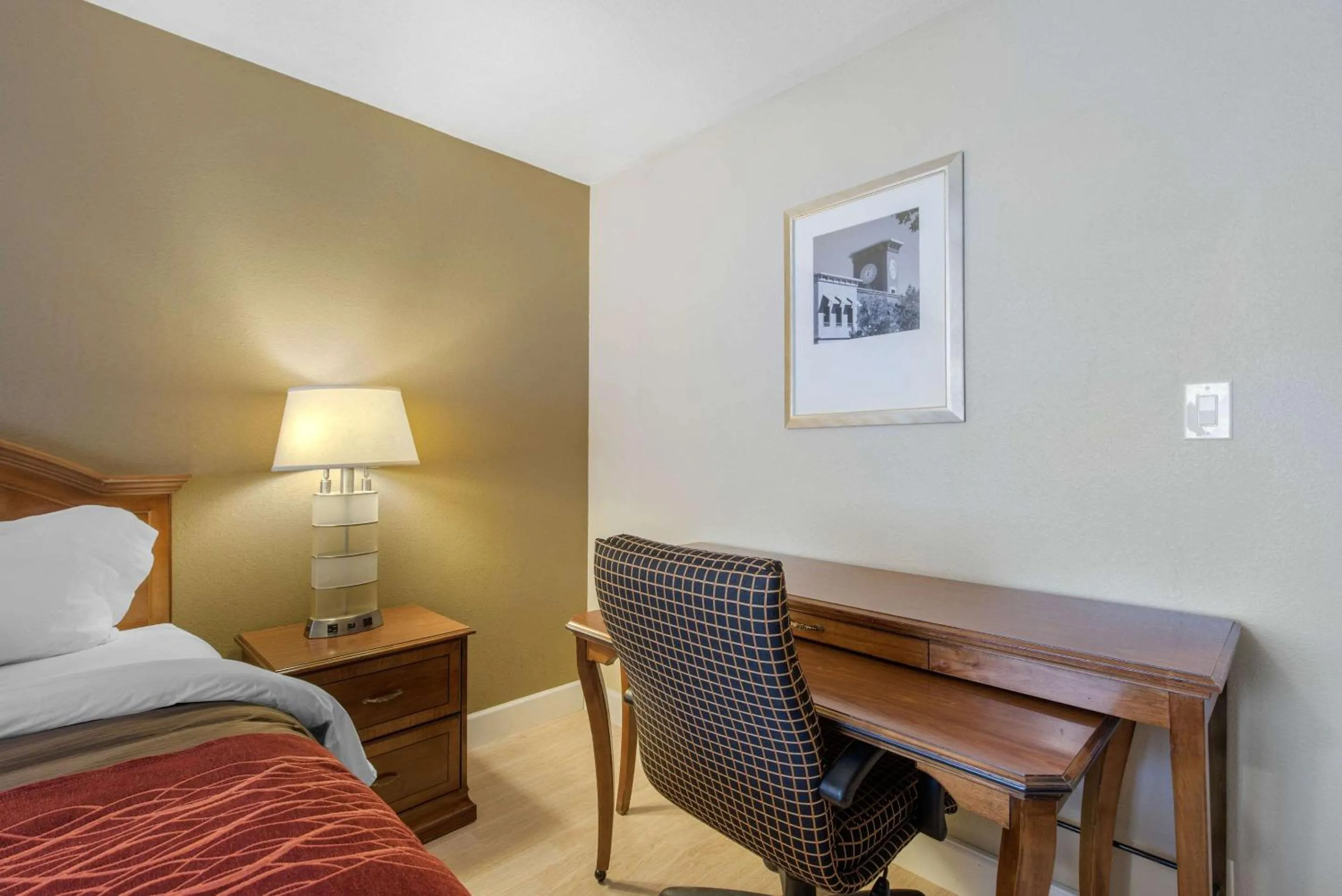 Photo of the whole room in Abode