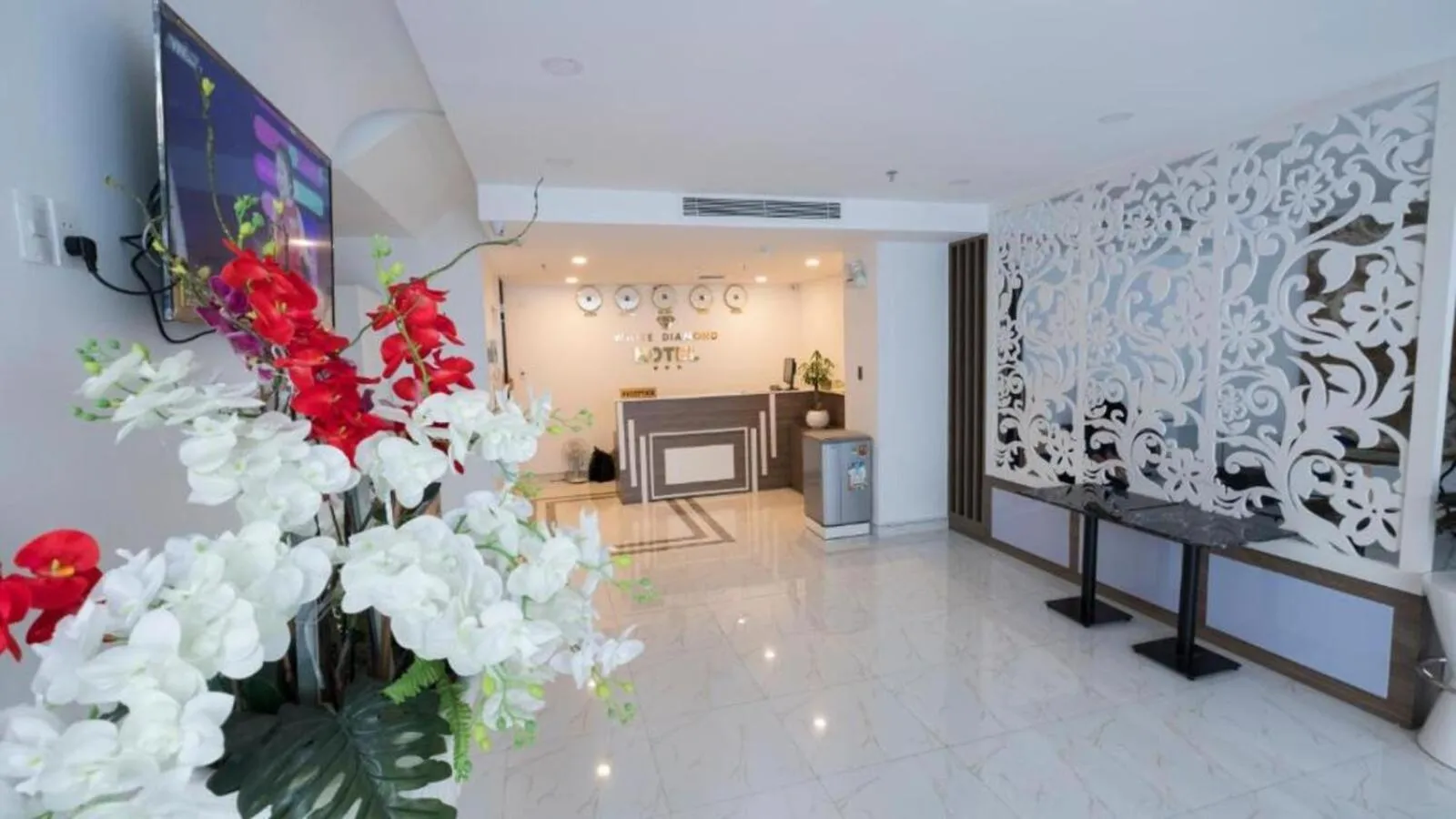 Communal lounge/ TV room in White Diamond Airport Hotel - TSN