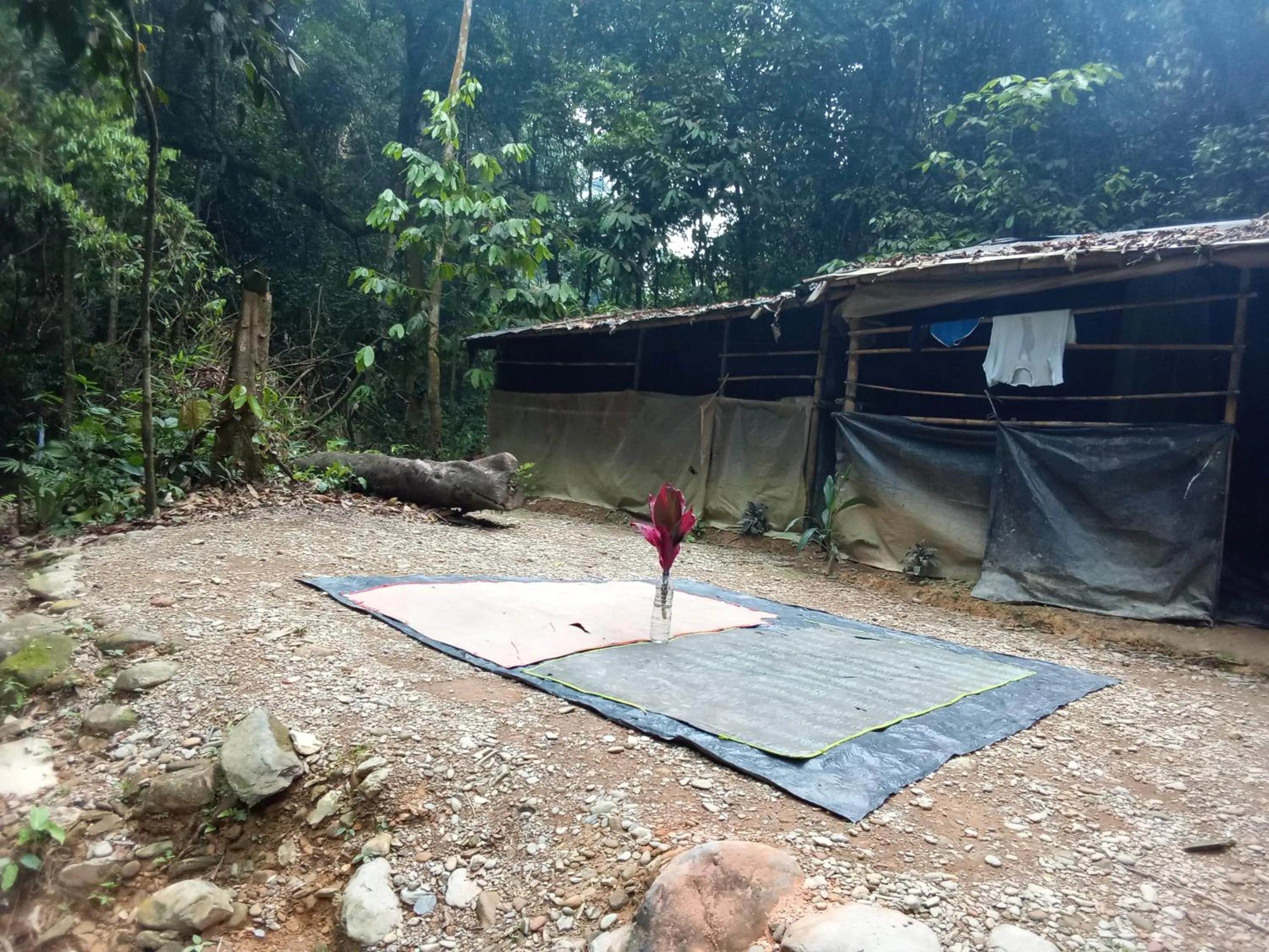 Jungle Trekking & Jungle Tour only stay here if you are and you must booking jungle trekking with us