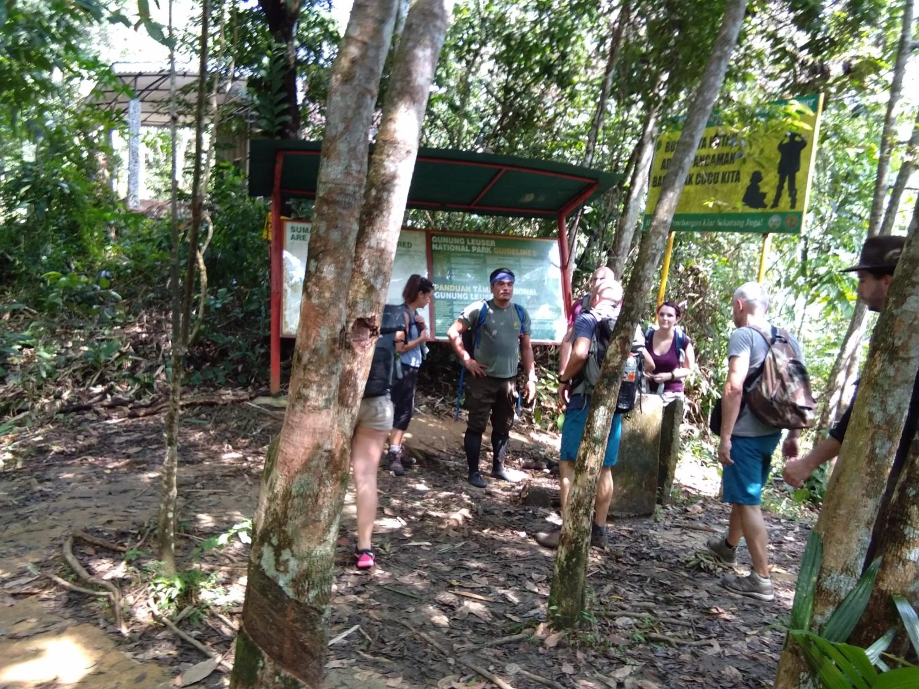Jungle Trekking & Jungle Tour only stay here if you are and you must booking jungle trekking with us