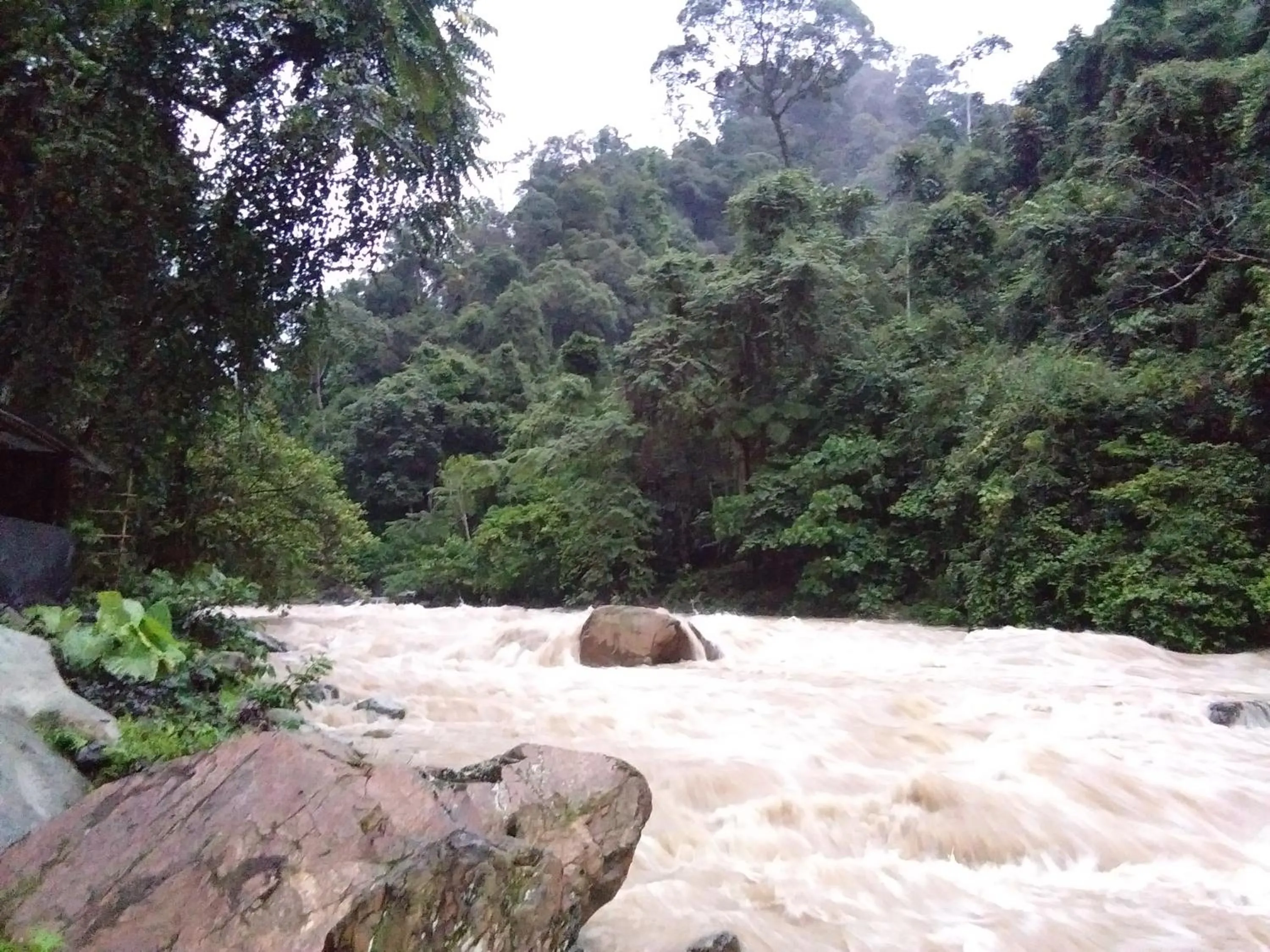 Jungle Trekking & Jungle Tour only stay here if you are and you must booking jungle trekking with us