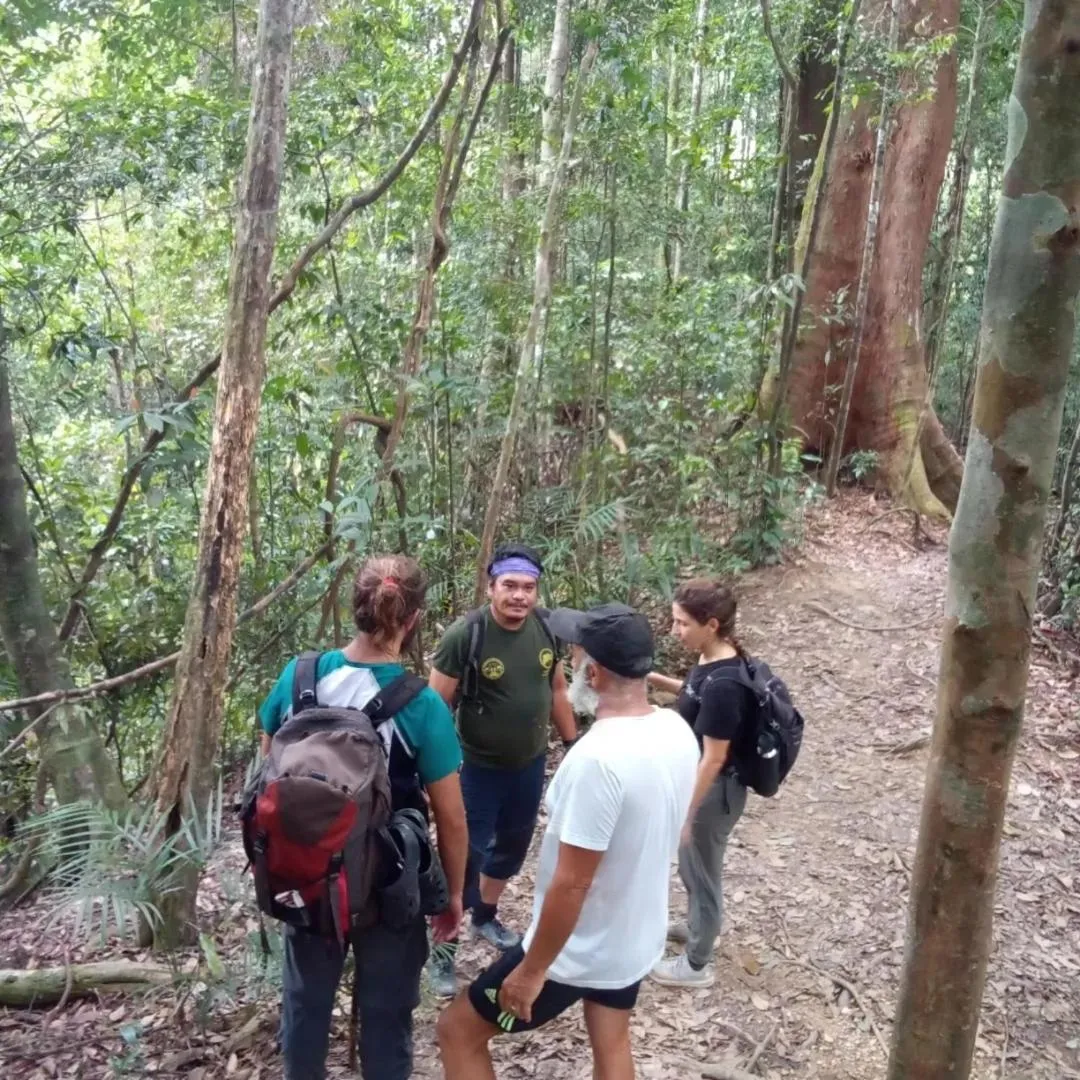 Jungle Trekking & Jungle Tour only stay here if you are and you must booking jungle trekking with us