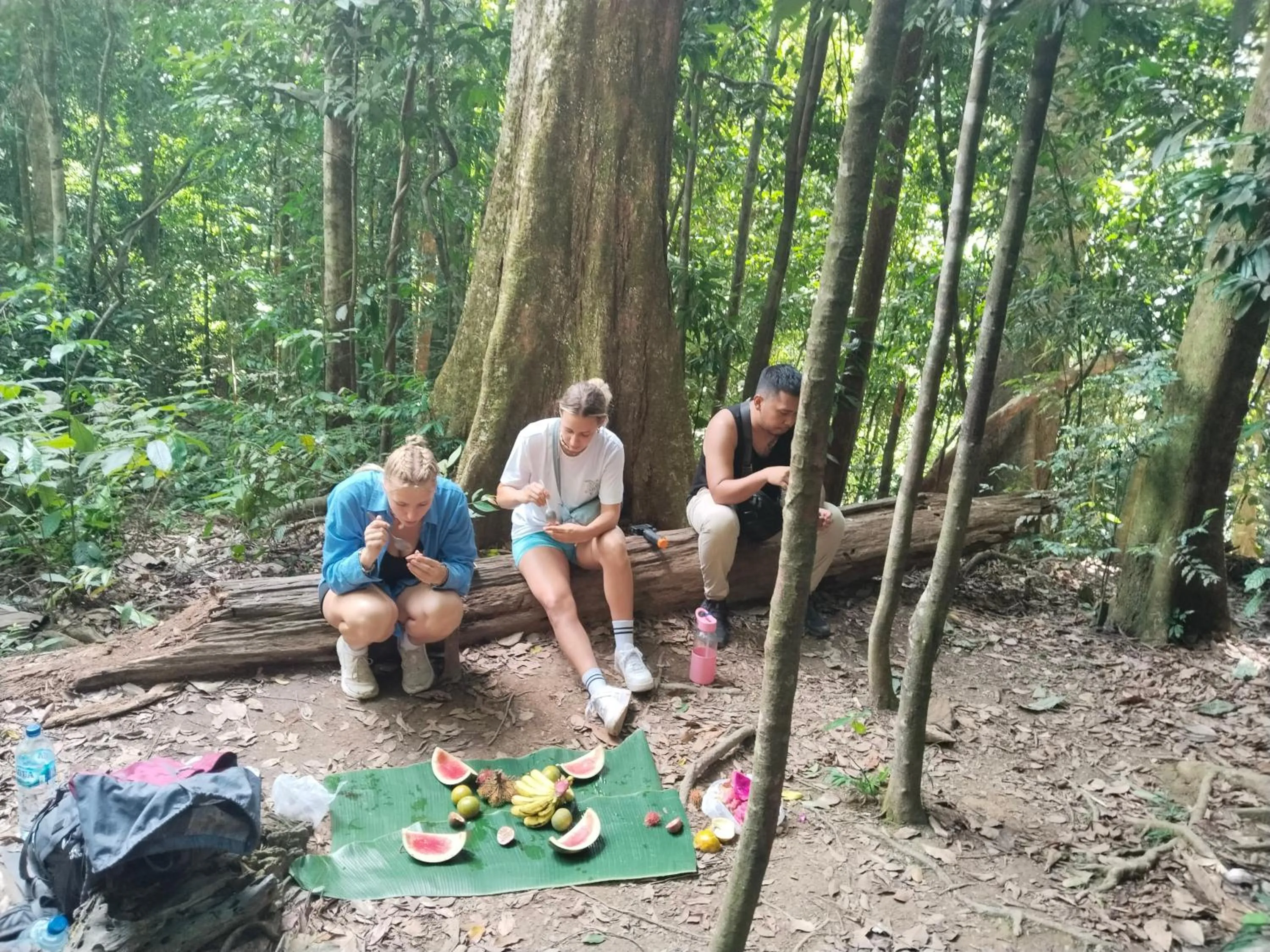 Jungle Trekking & Jungle Tour only stay here if you are and you must booking jungle trekking with us