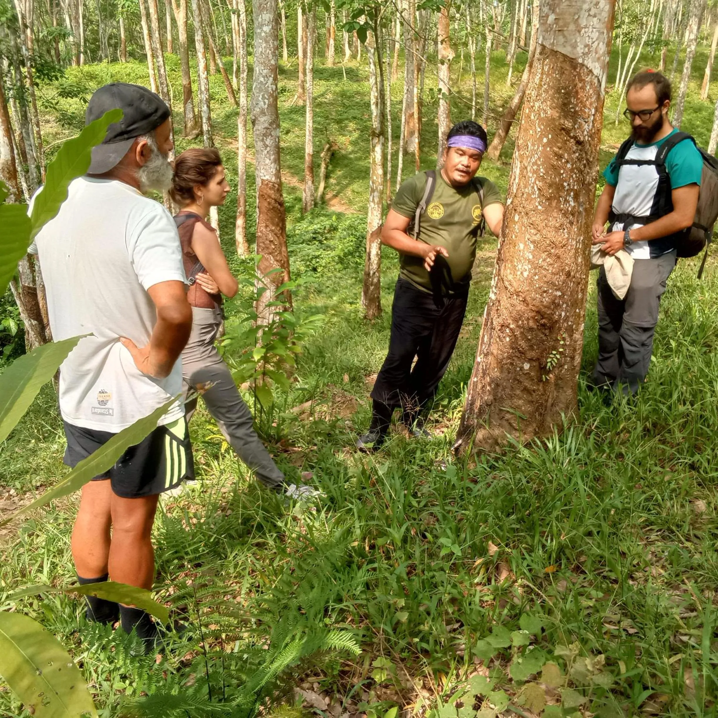 Jungle Trekking & Jungle Tour only stay here if you are and you must booking jungle trekking with us