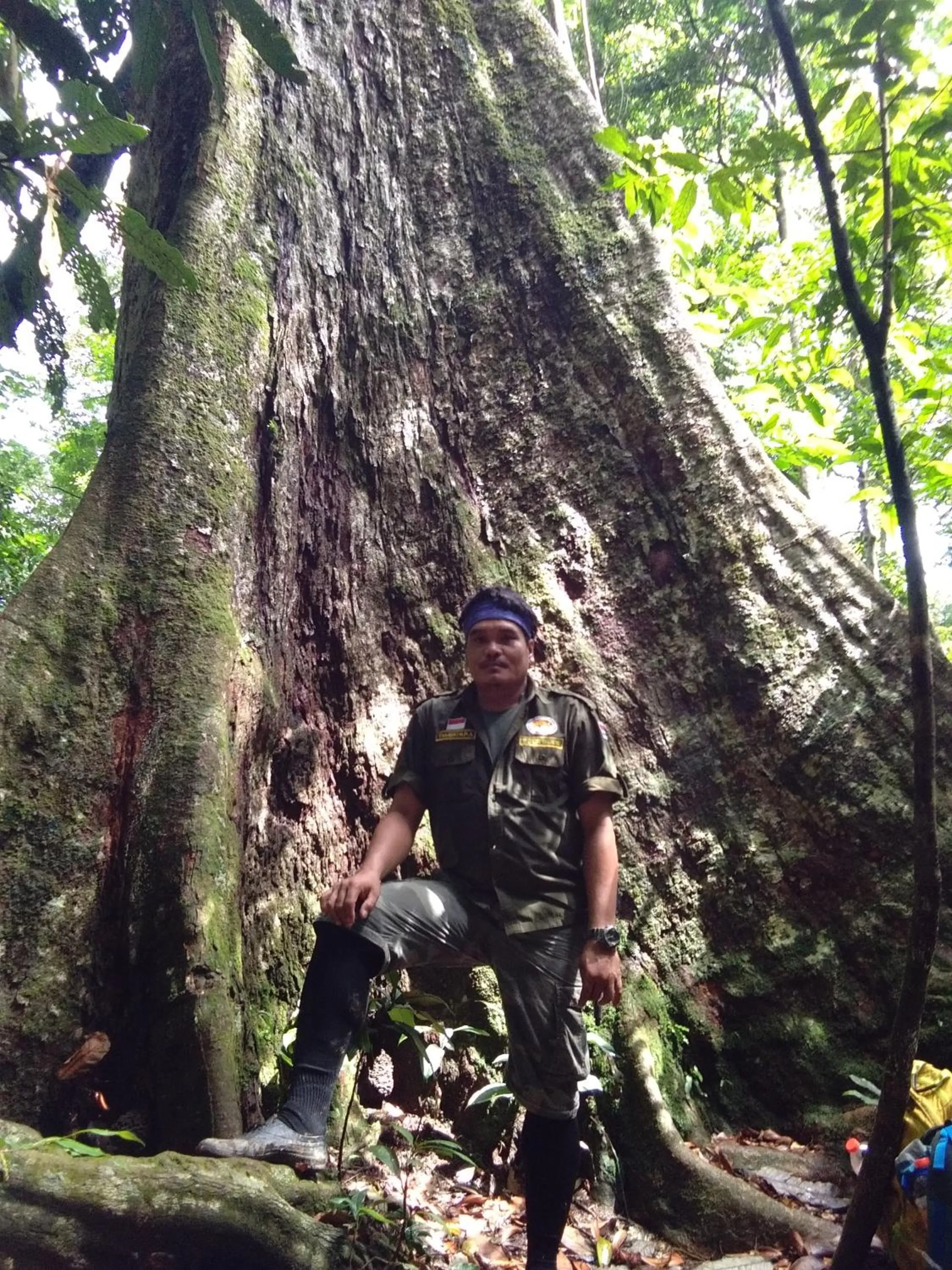 Jungle Trekking & Jungle Tour only stay here if you are and you must booking jungle trekking with us