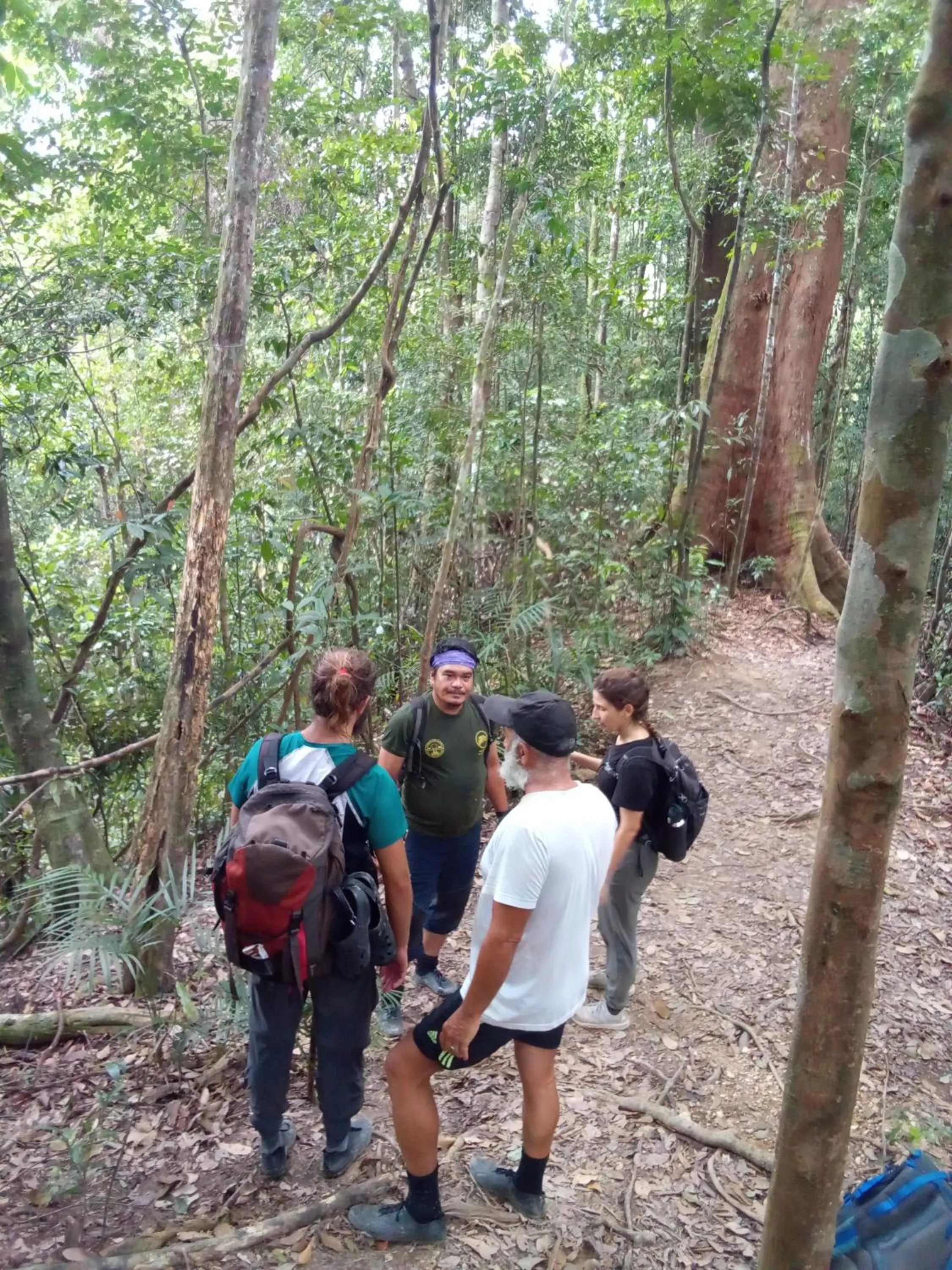Jungle Trekking & Jungle Tour only stay here if you are and you must booking jungle trekking with us