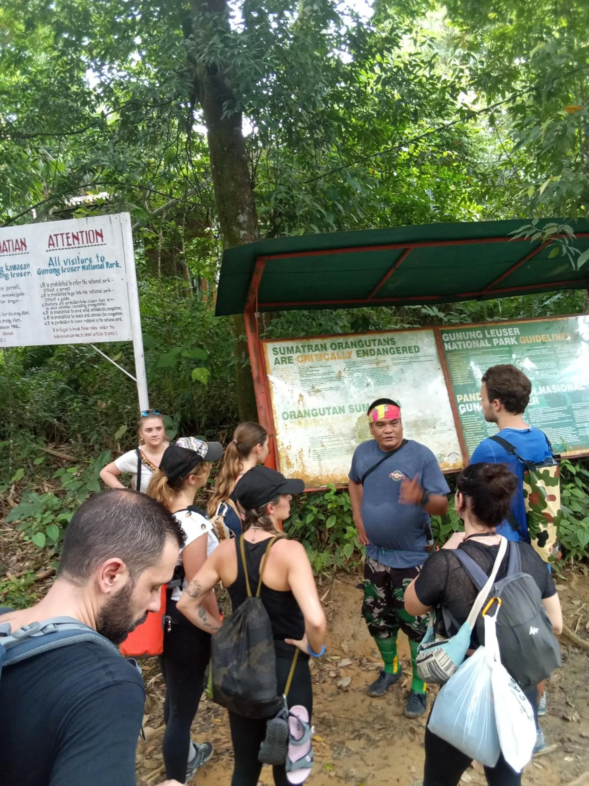 Jungle Trekking & Jungle Tour only stay here if you are and you must booking jungle trekking with us