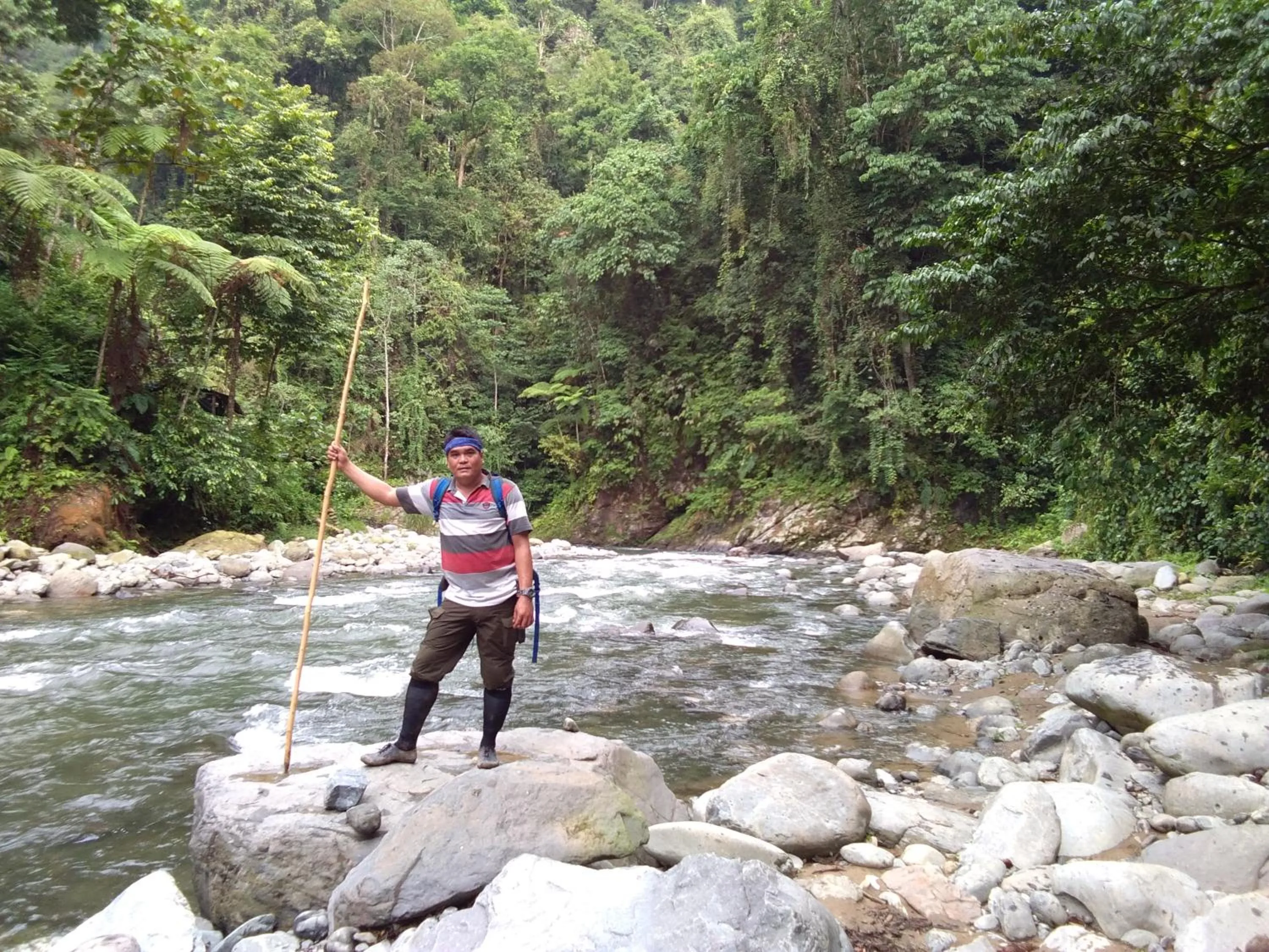 Jungle Trekking & Jungle Tour only stay here if you are and you must booking jungle trekking with us
