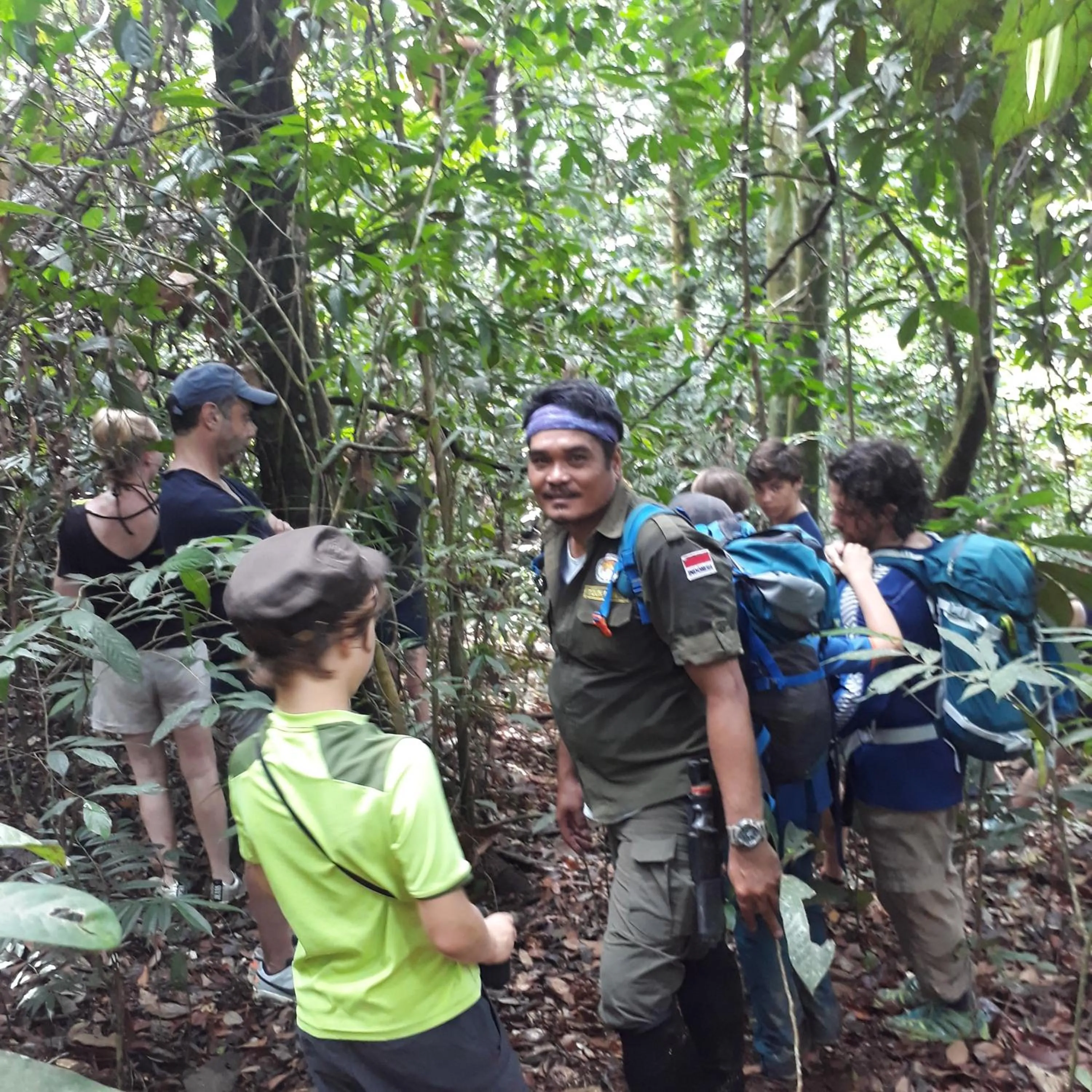 Jungle Trekking & Jungle Tour only stay here if you are and you must booking jungle trekking with us