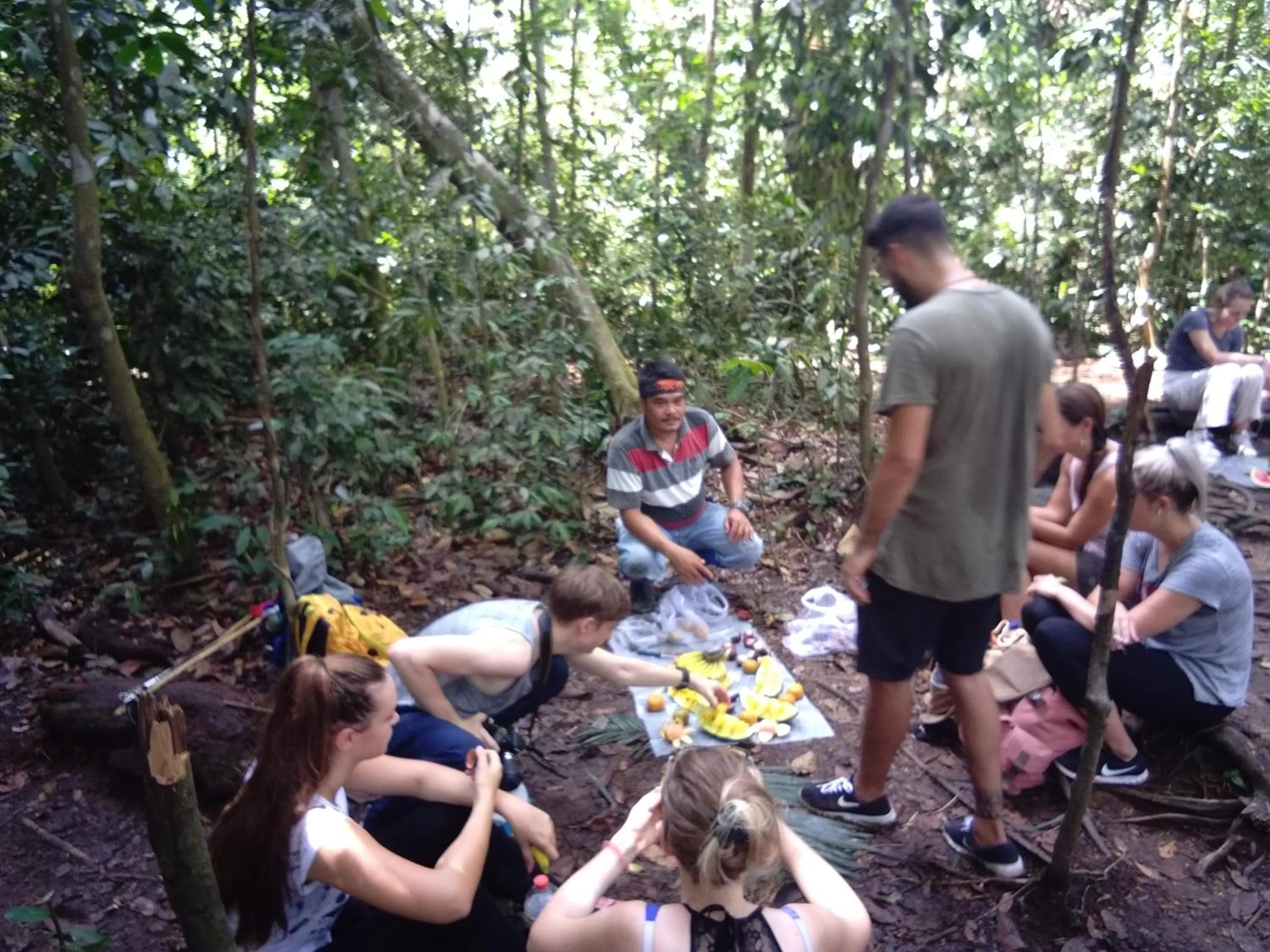 Jungle Trekking & Jungle Tour only stay here if you are and you must booking jungle trekking with us