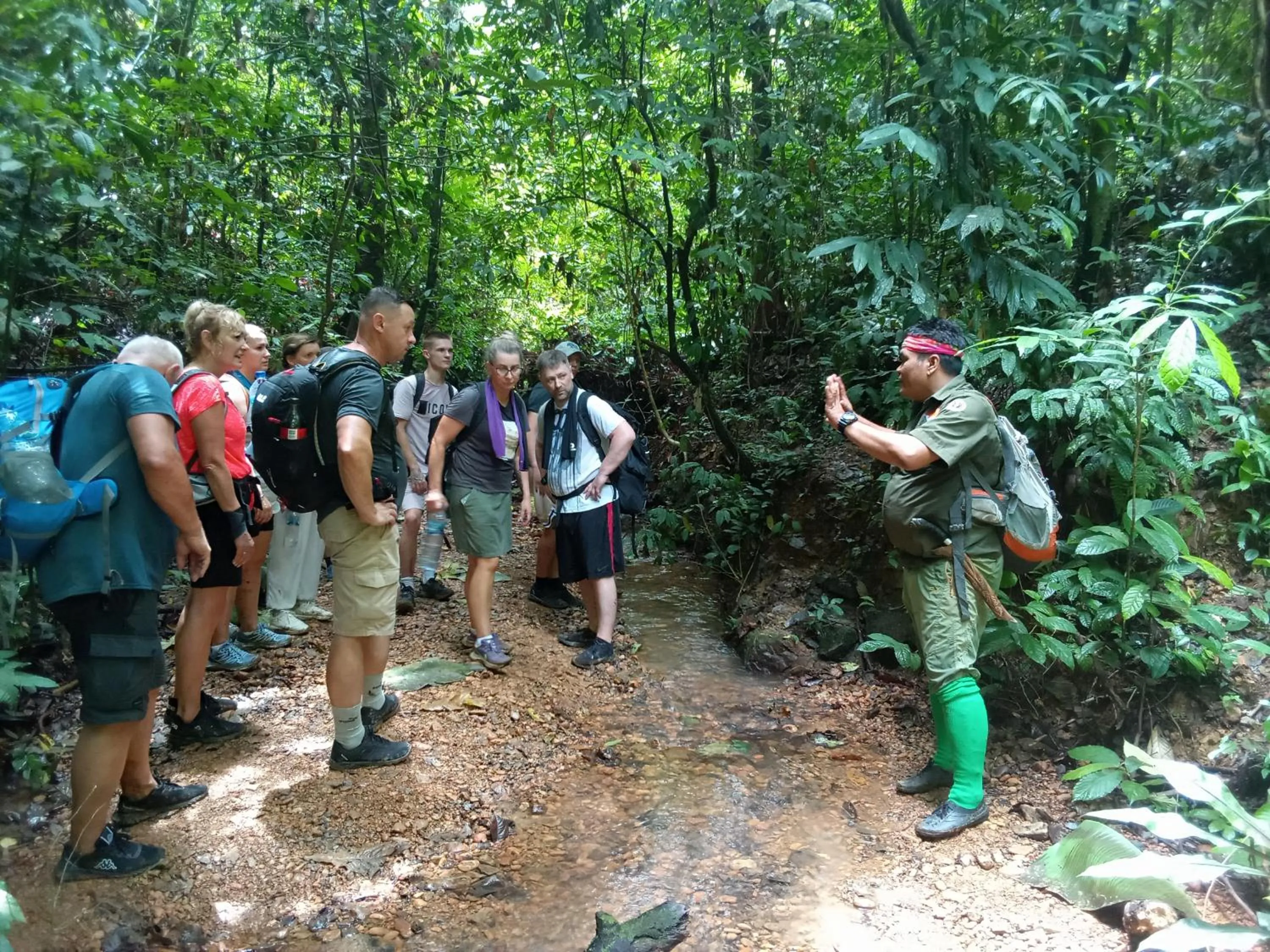 Jungle Trekking & Jungle Tour only stay here if you are and you must booking jungle trekking with us