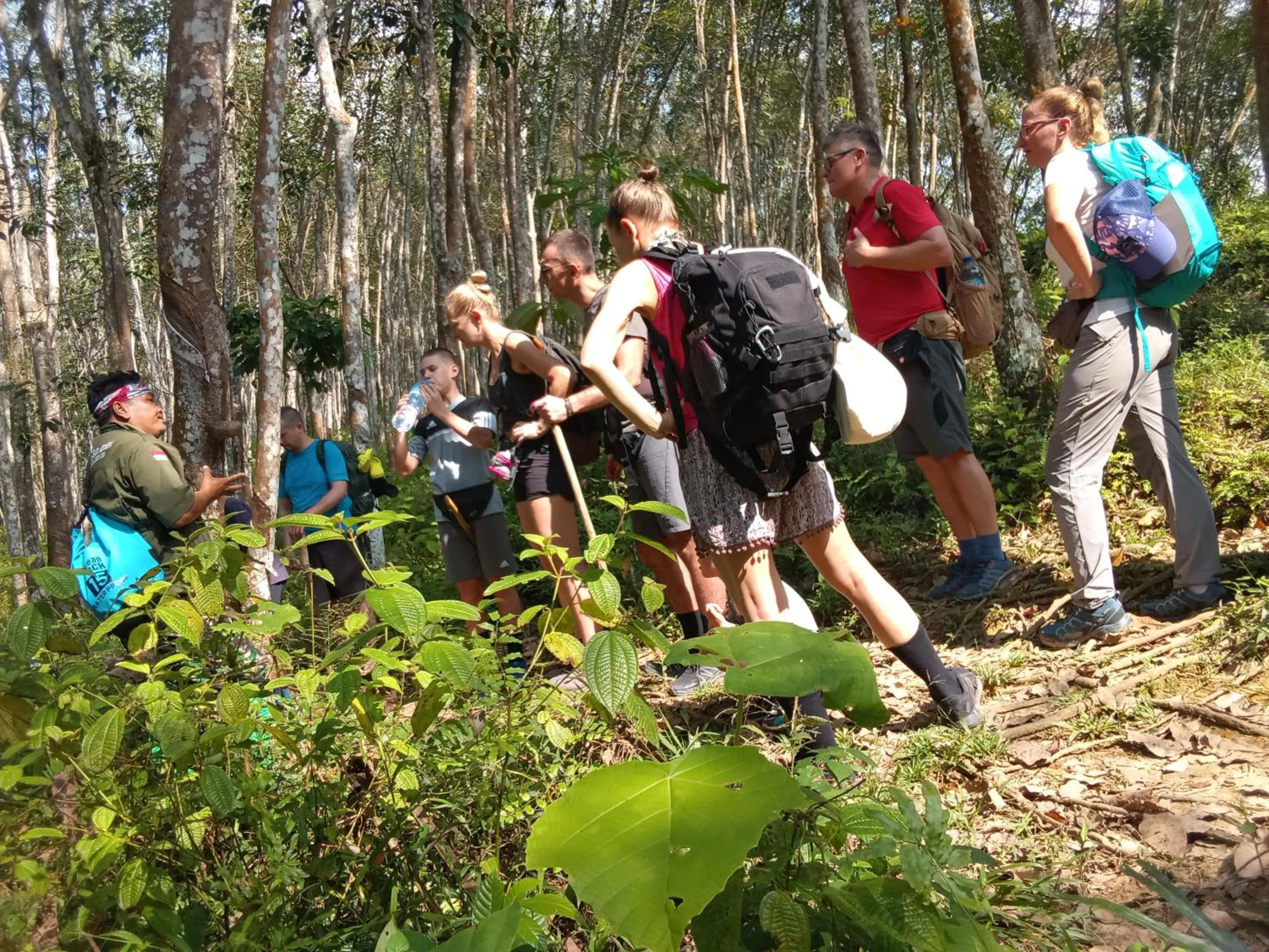 Jungle Trekking & Jungle Tour only stay here if you are and you must booking jungle trekking with us