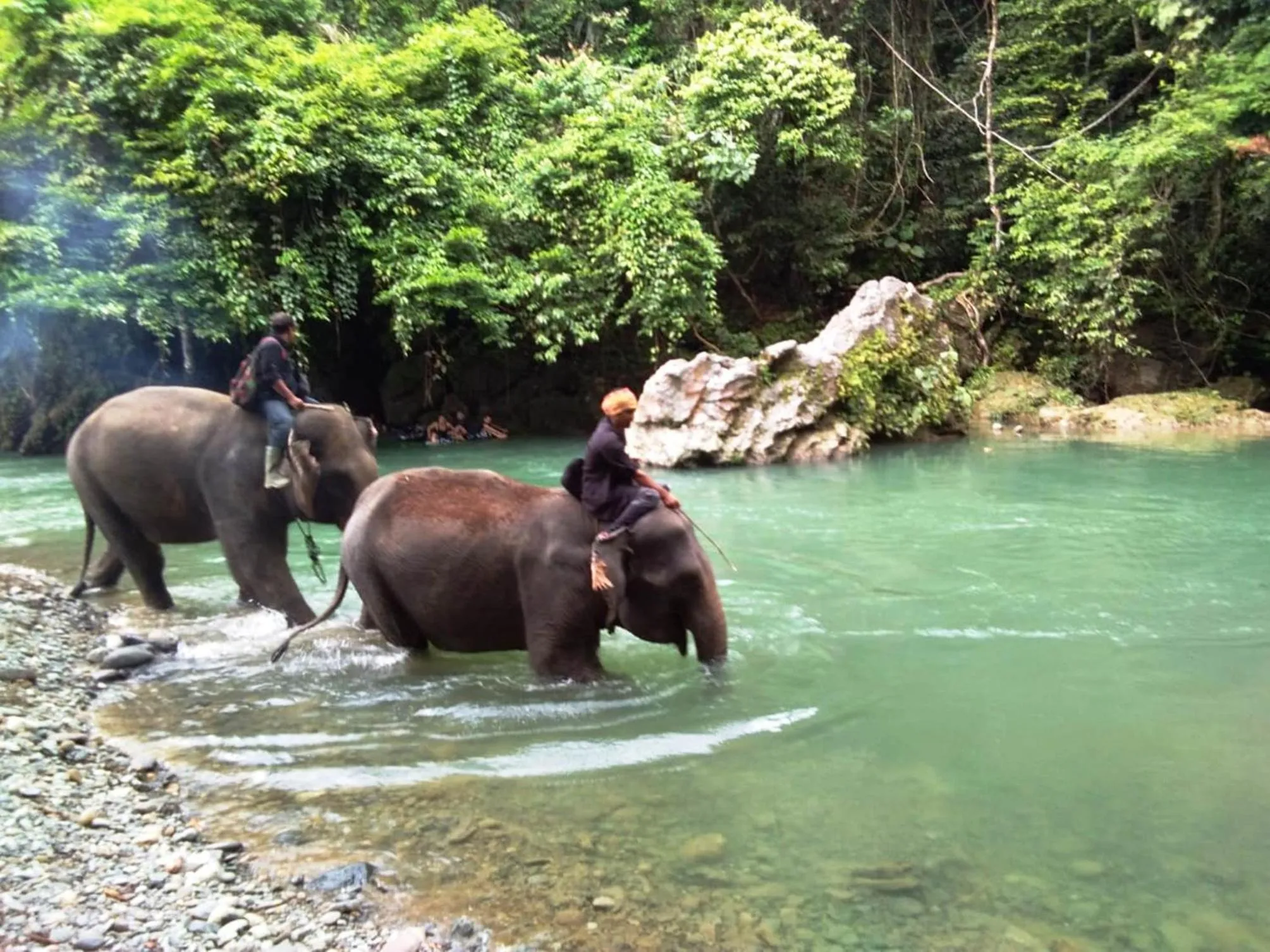 Activities in Jungle Trekking & Jungle Tour only stay here if you are and you must booking jungle trekking with us