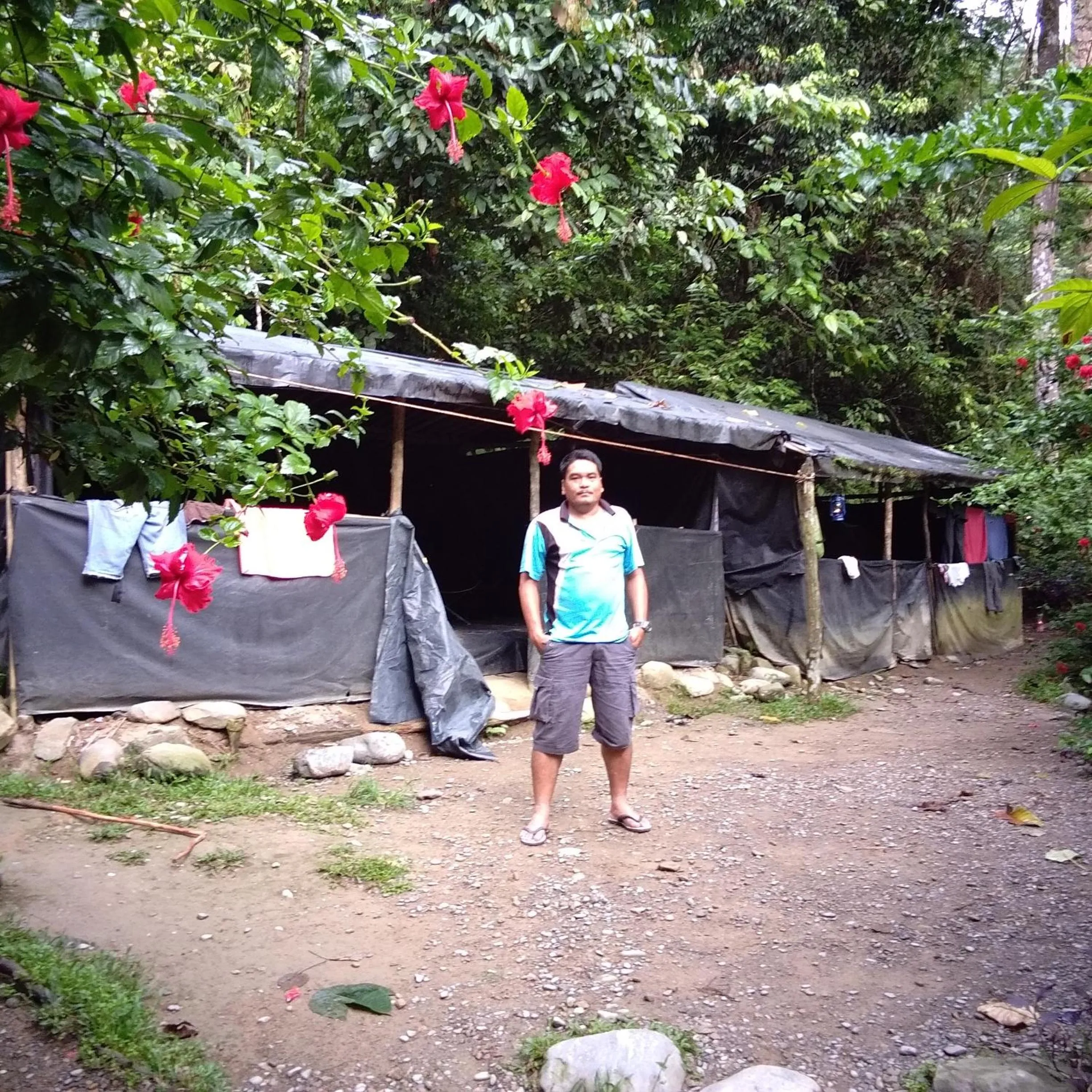 Jungle Trekking & Jungle Tour only stay here if you are and you must booking jungle trekking with us