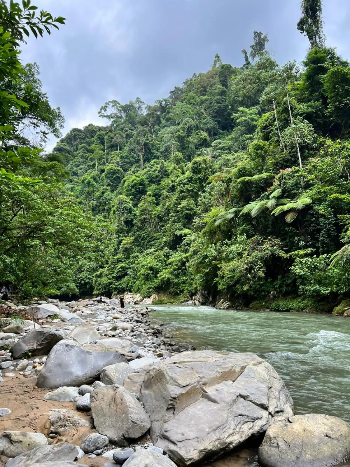 Jungle Trekking & Jungle Tour only stay here if you are and you must booking jungle trekking with us